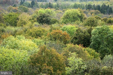 BROWN ROAD SMITHSBURG MD 21783