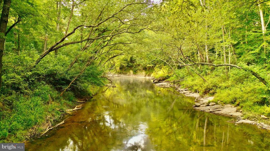 Nestled between Lake Anna and I-95, this expansive property offers a rare combination of natural beauty and convenience. With extensive frontage along the scenic North Anna River, the land provides a tranquil setting that's perfect for those seeking both seclusion and accessibility. The ample road frontage on Ancient Acres Road ensures easy access to the property, while the established internal road and trail network allows you to explore the property with ease.

The land features a diverse landscape, with up-and-coming pines on the upper flats and hardwood ridges and valleys below. This mix of timber presents an excellent opportunity for a future timber investment. The varied topography, featuring ridges, plateaus, and hills, adds to the property's character, making it an appealing choice for anyone looking to build their dream home in a picturesque setting.

For outdoor enthusiasts, the property is a wildlife haven, with abundant deer, turkey, and other game, making it ideal for creating your own hunting retreat. The land is also well-suited for a range of recreational activities, like horseback riding, camping, and ATV excursions. Whether you're looking for a place to unwind or a base for outdoor adventures, this property offers endless possibilities.