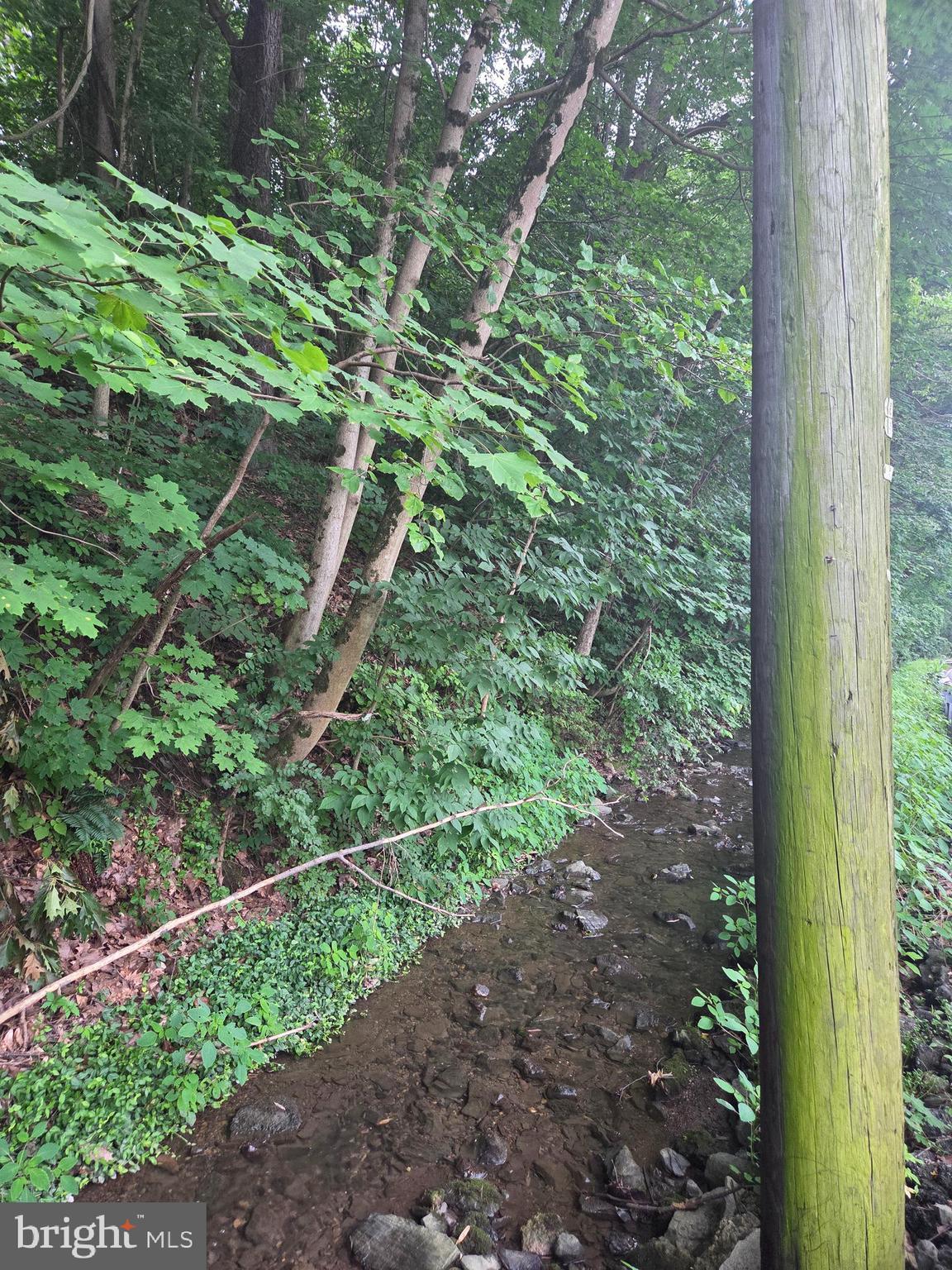 0 LOCUST LANE