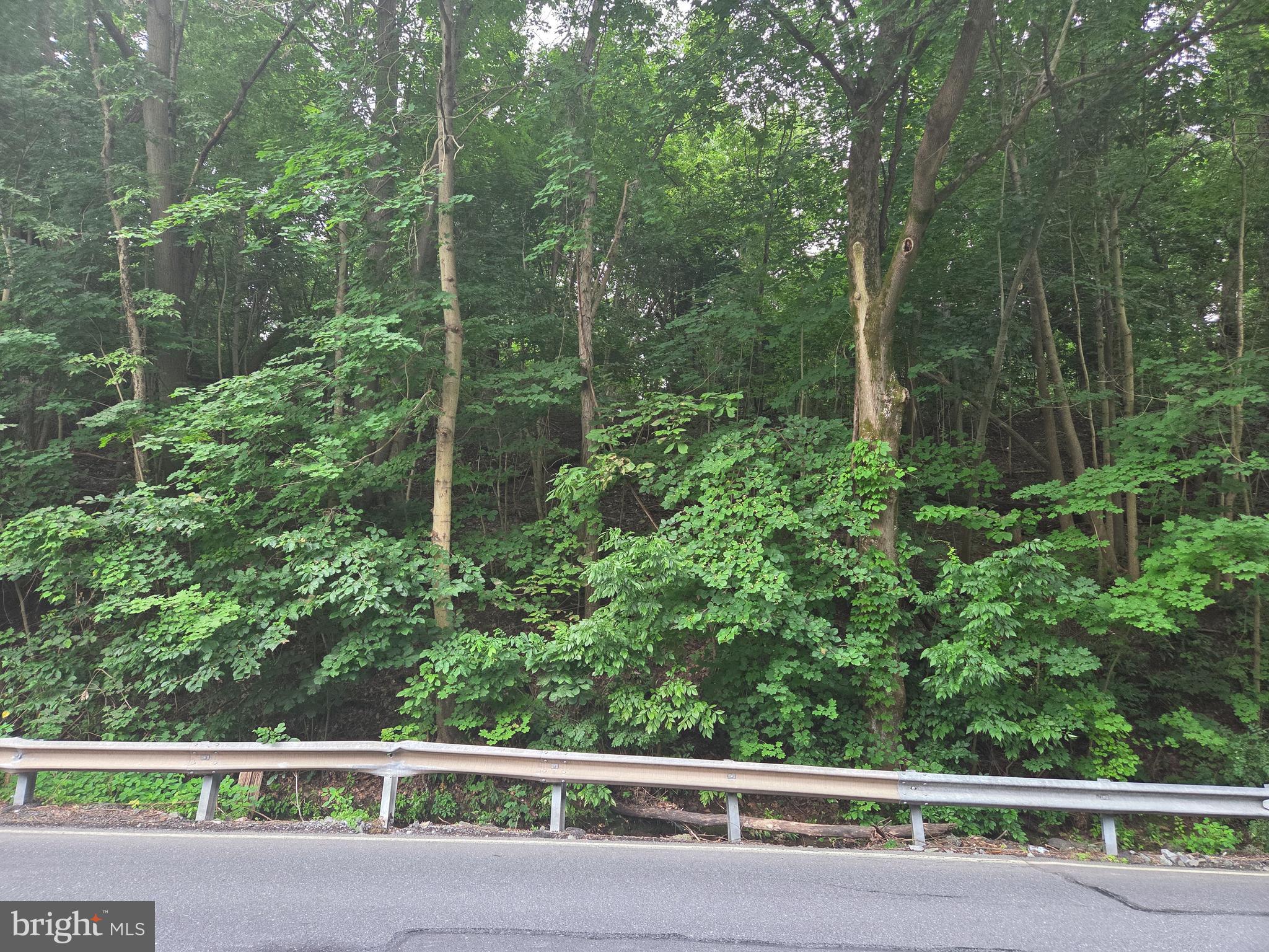 0 LOCUST LANE