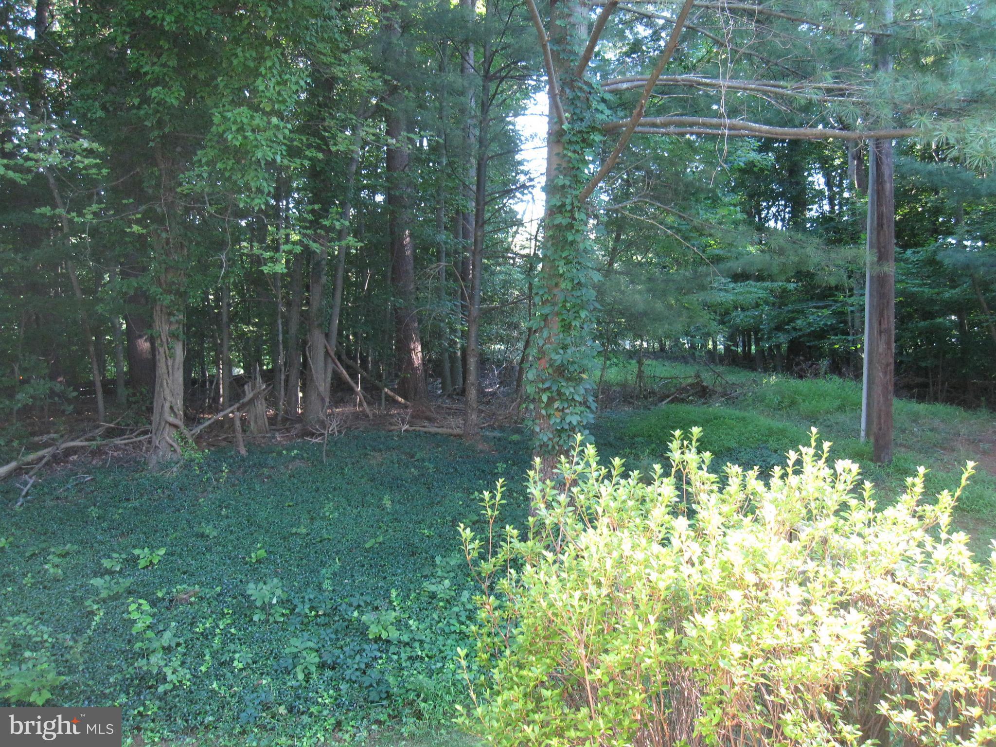 OLDE OAK RIDGE - Residential Lease