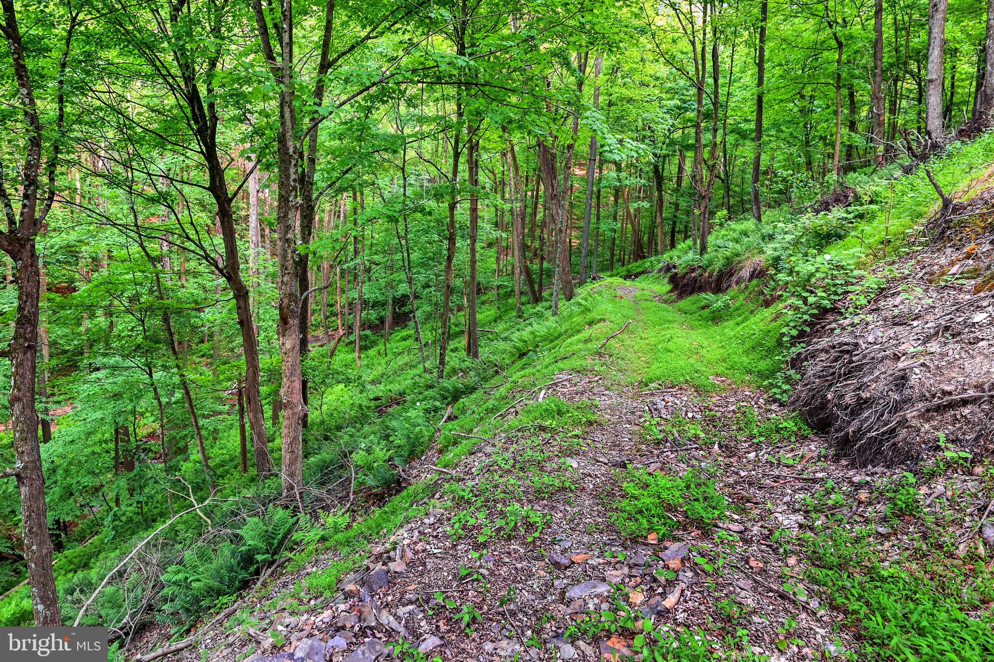 LETTERKENNY TWP - Residential