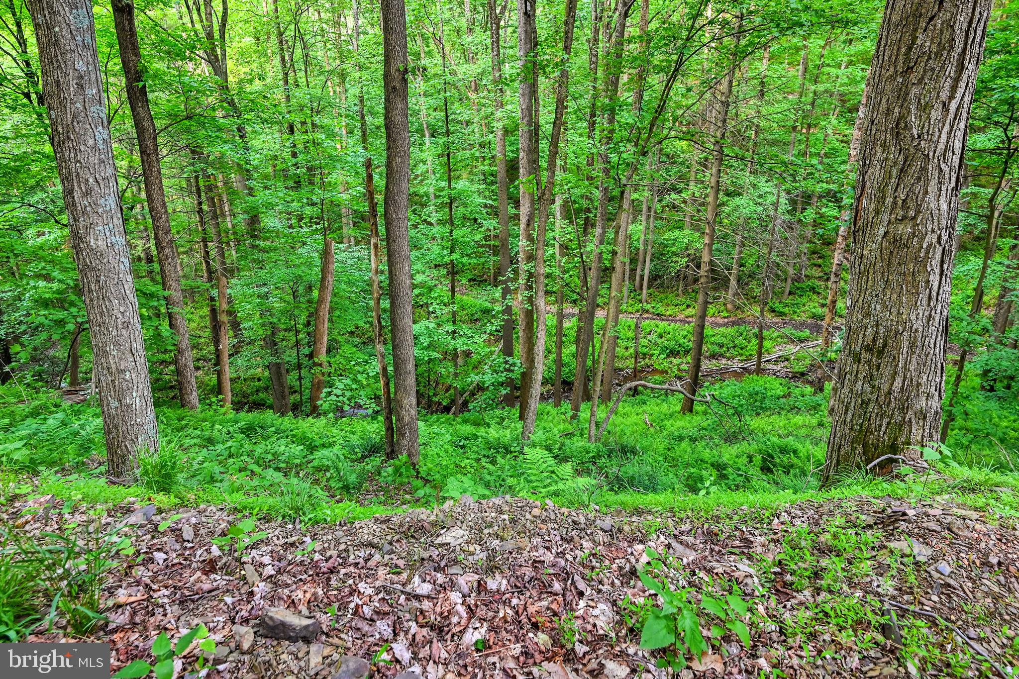 LETTERKENNY TWP - Residential