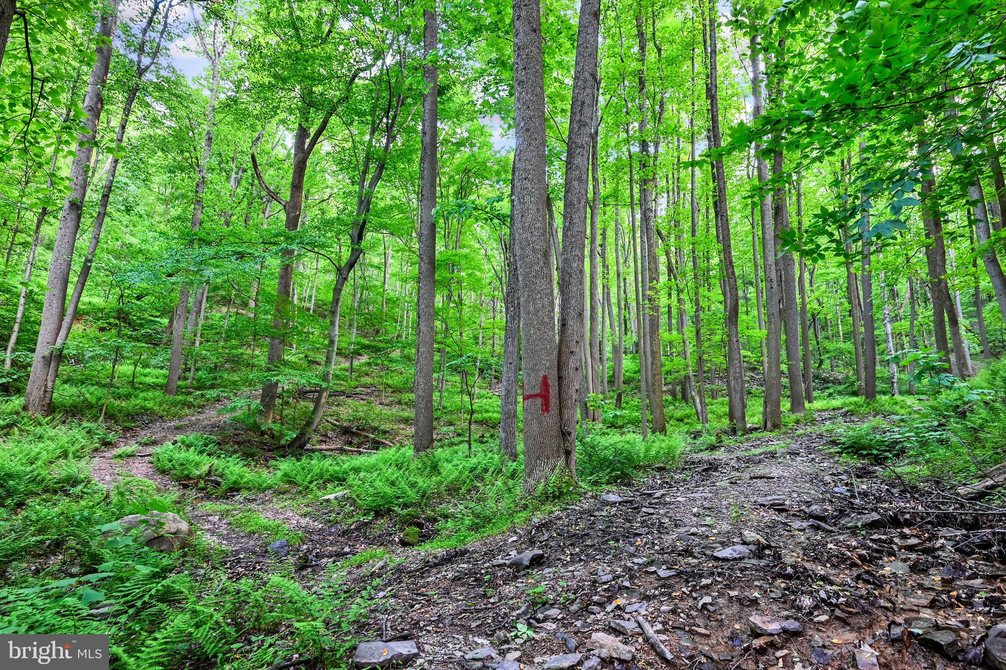 LETTERKENNY TWP - Residential