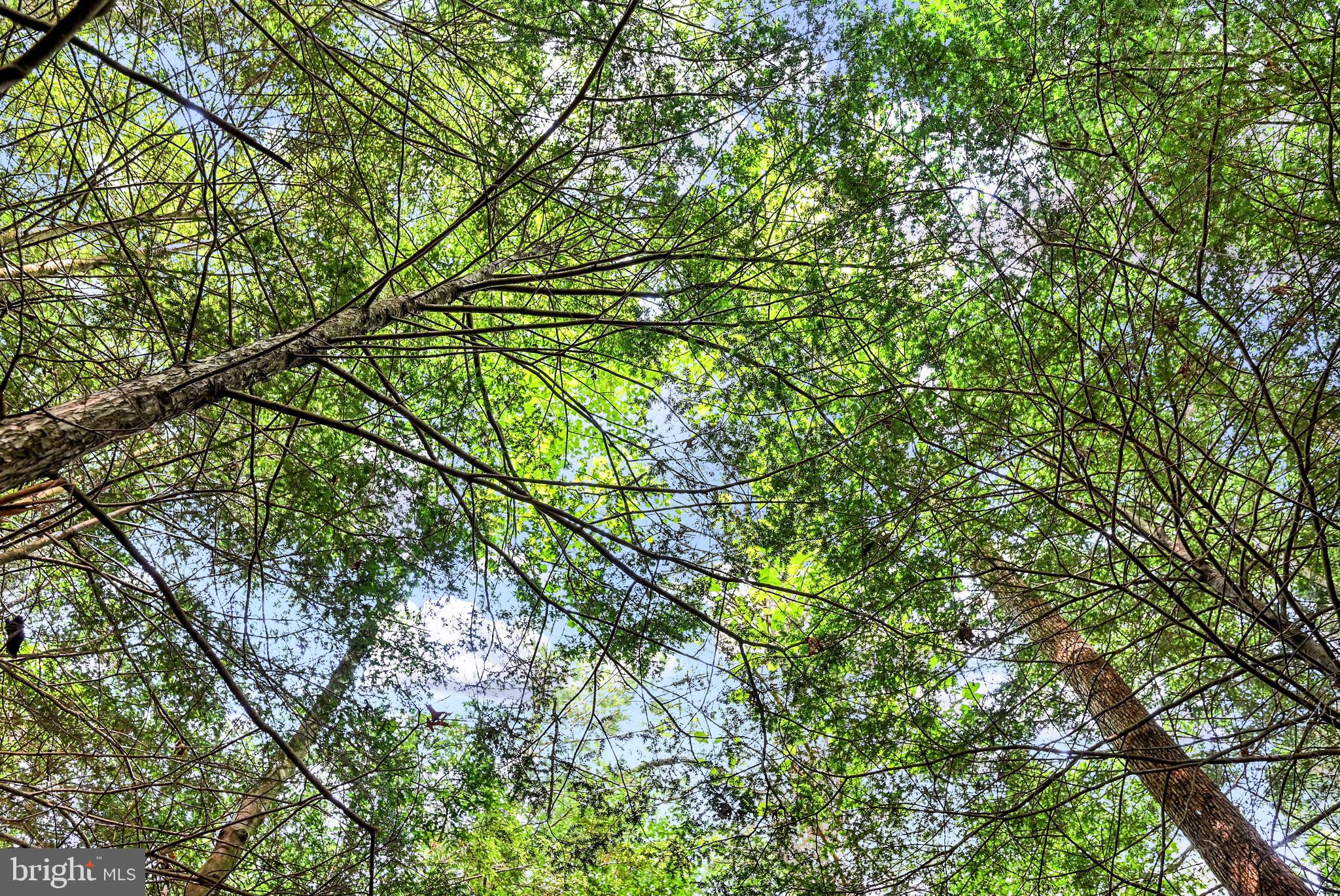 LETTERKENNY TWP - Residential