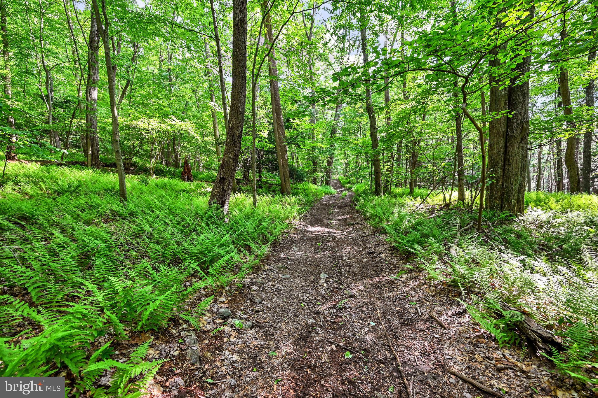 LETTERKENNY TWP - Residential