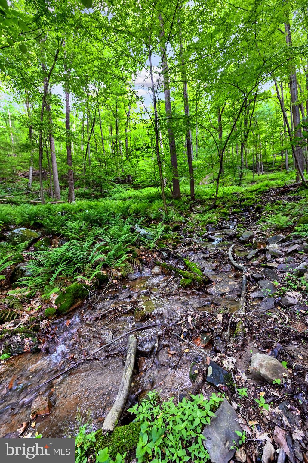 LETTERKENNY TWP - Residential