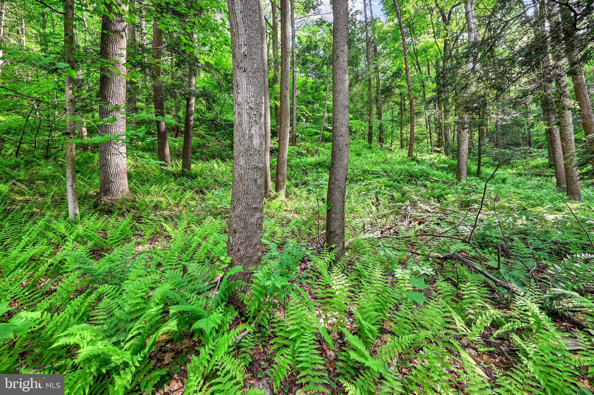 LETTERKENNY TWP - Residential