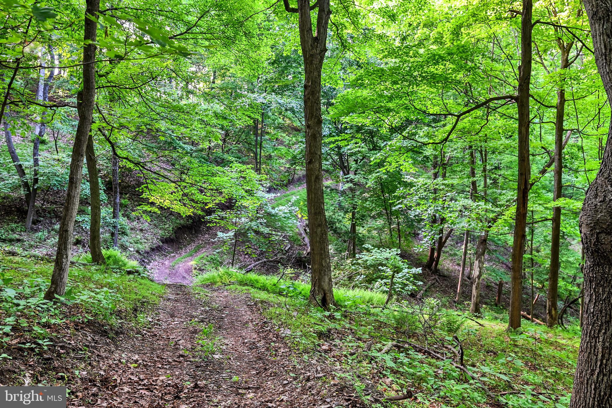 LETTERKENNY TWP - Residential