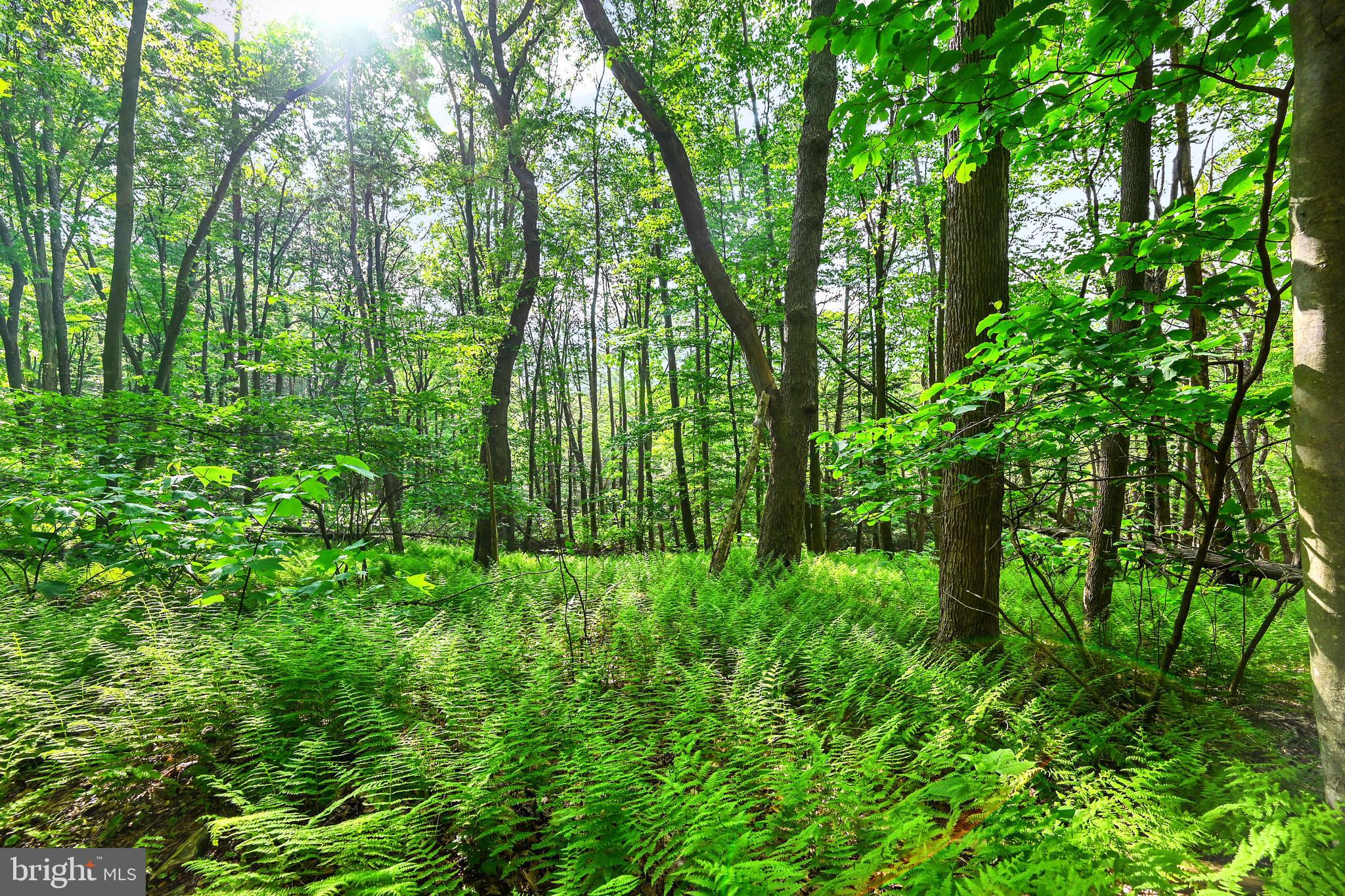 LETTERKENNY TWP - Residential