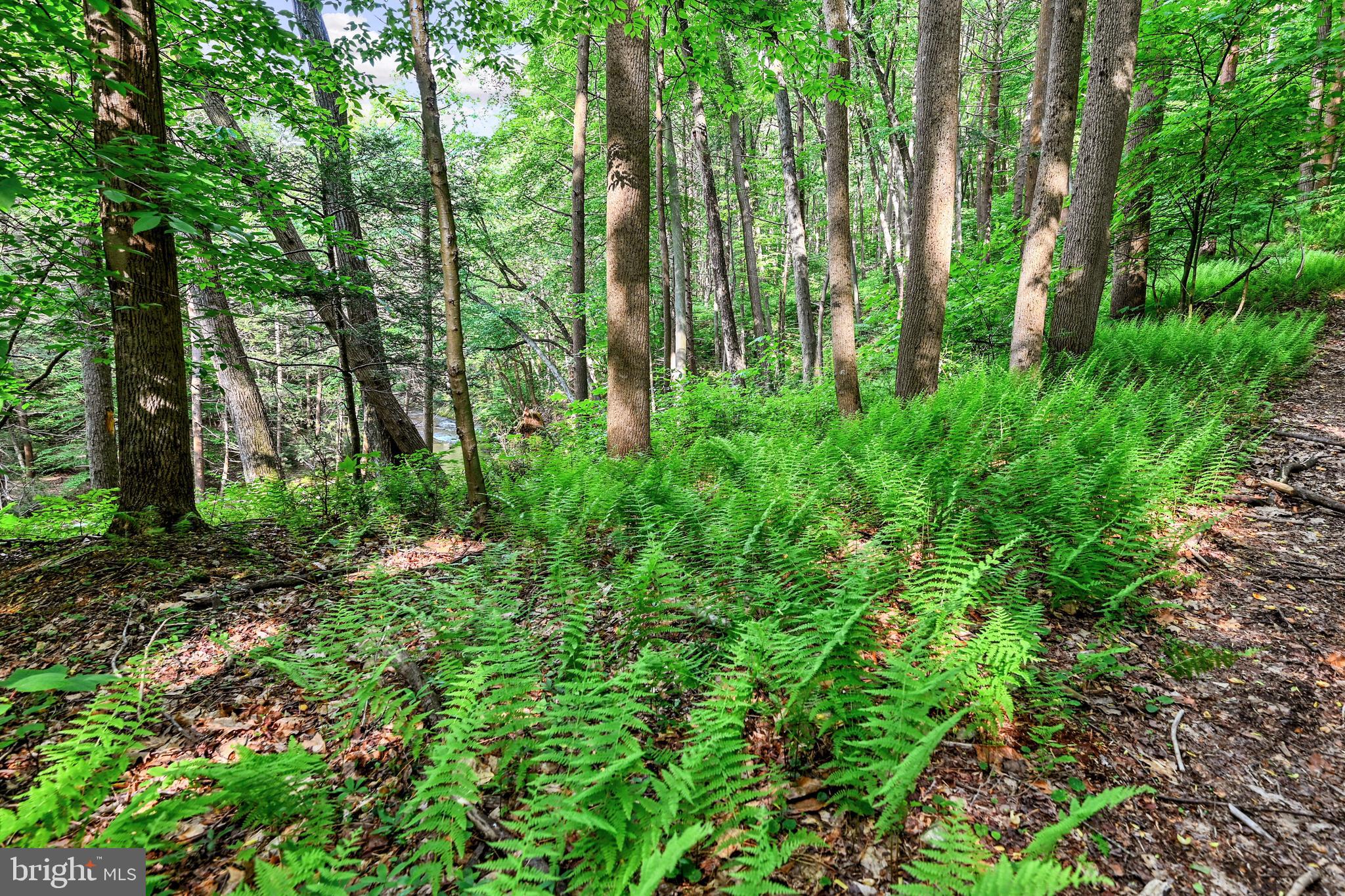 LETTERKENNY TWP - Residential