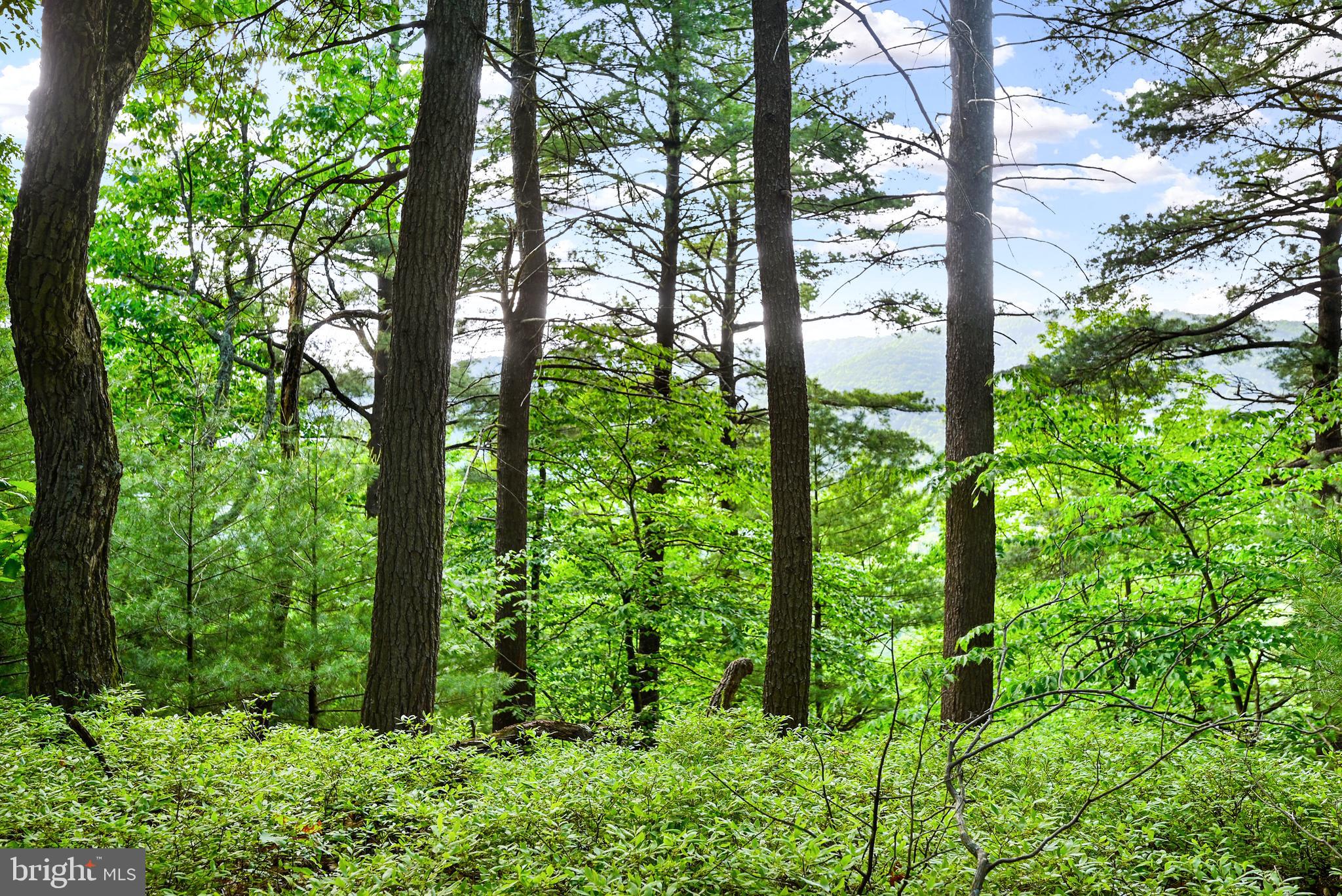 LETTERKENNY TWP - Residential