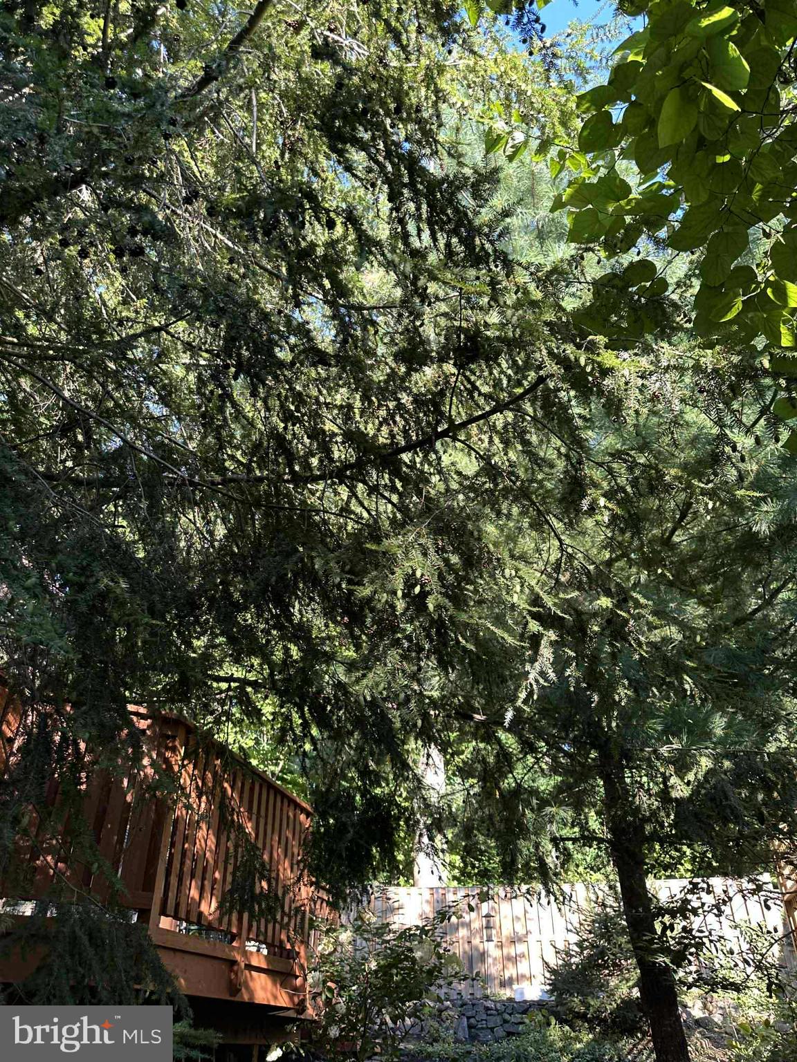 LYON VILLAGE - Residential Lease