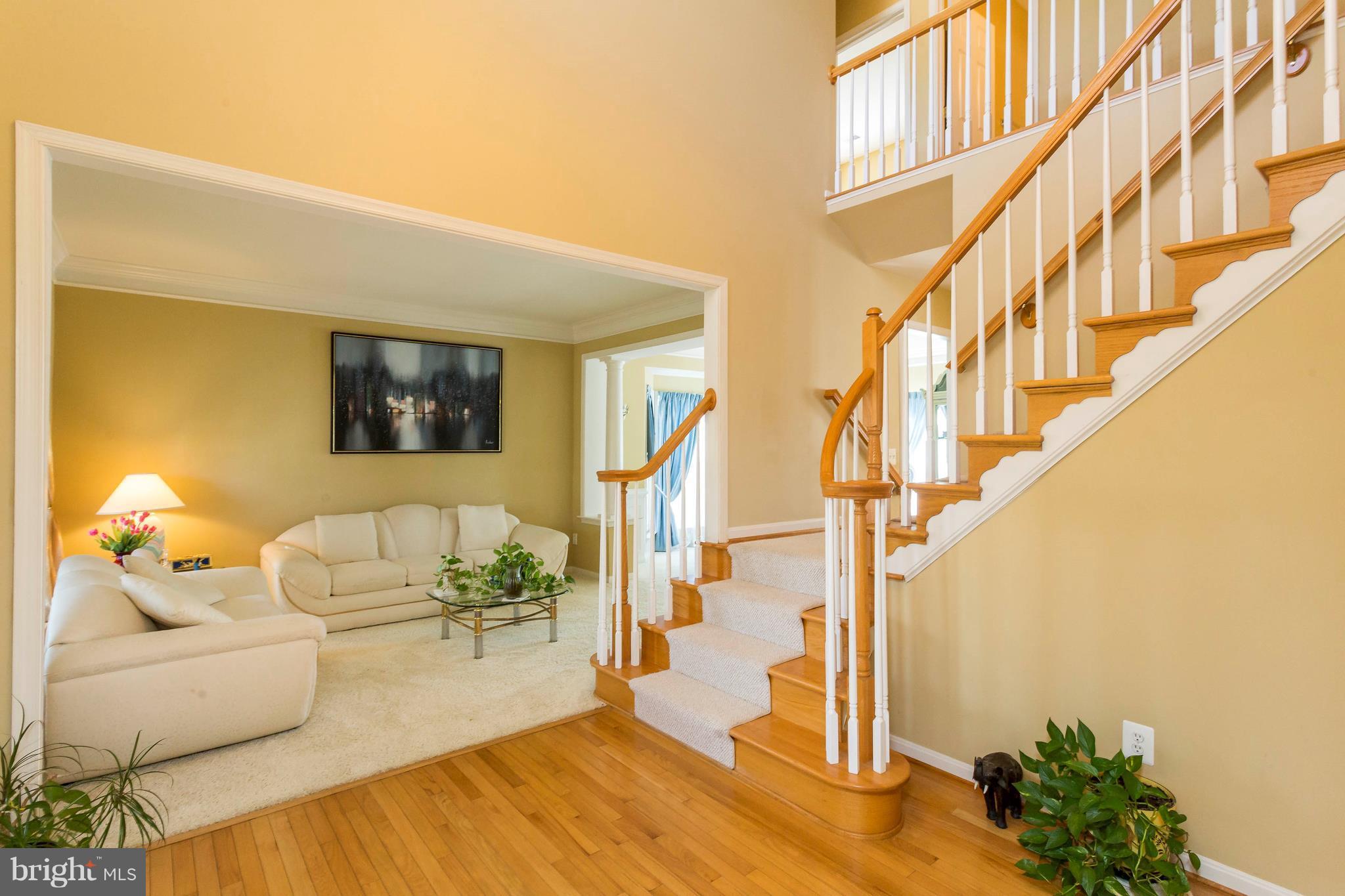 LANIER FARMS - Residential