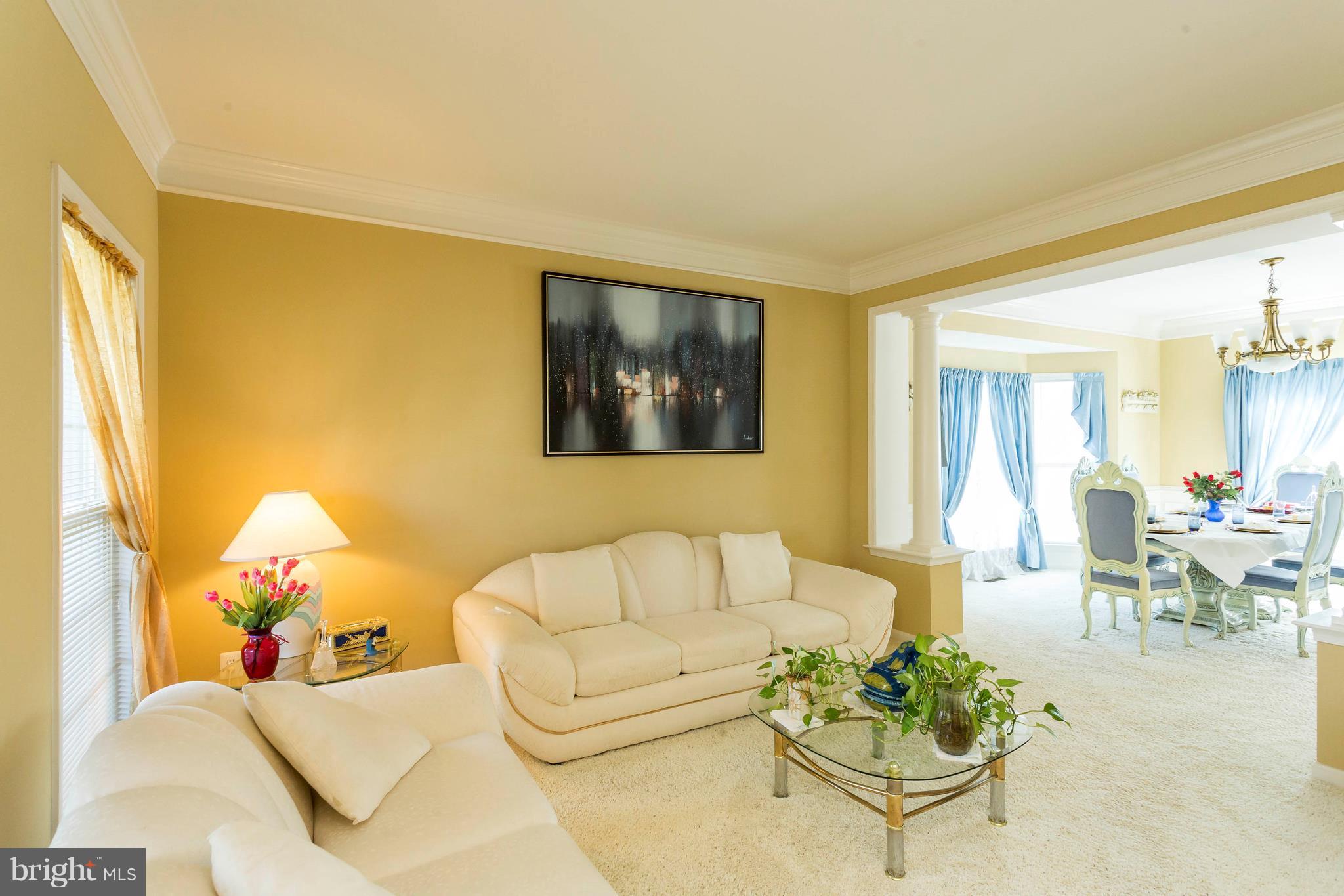 LANIER FARMS - Residential