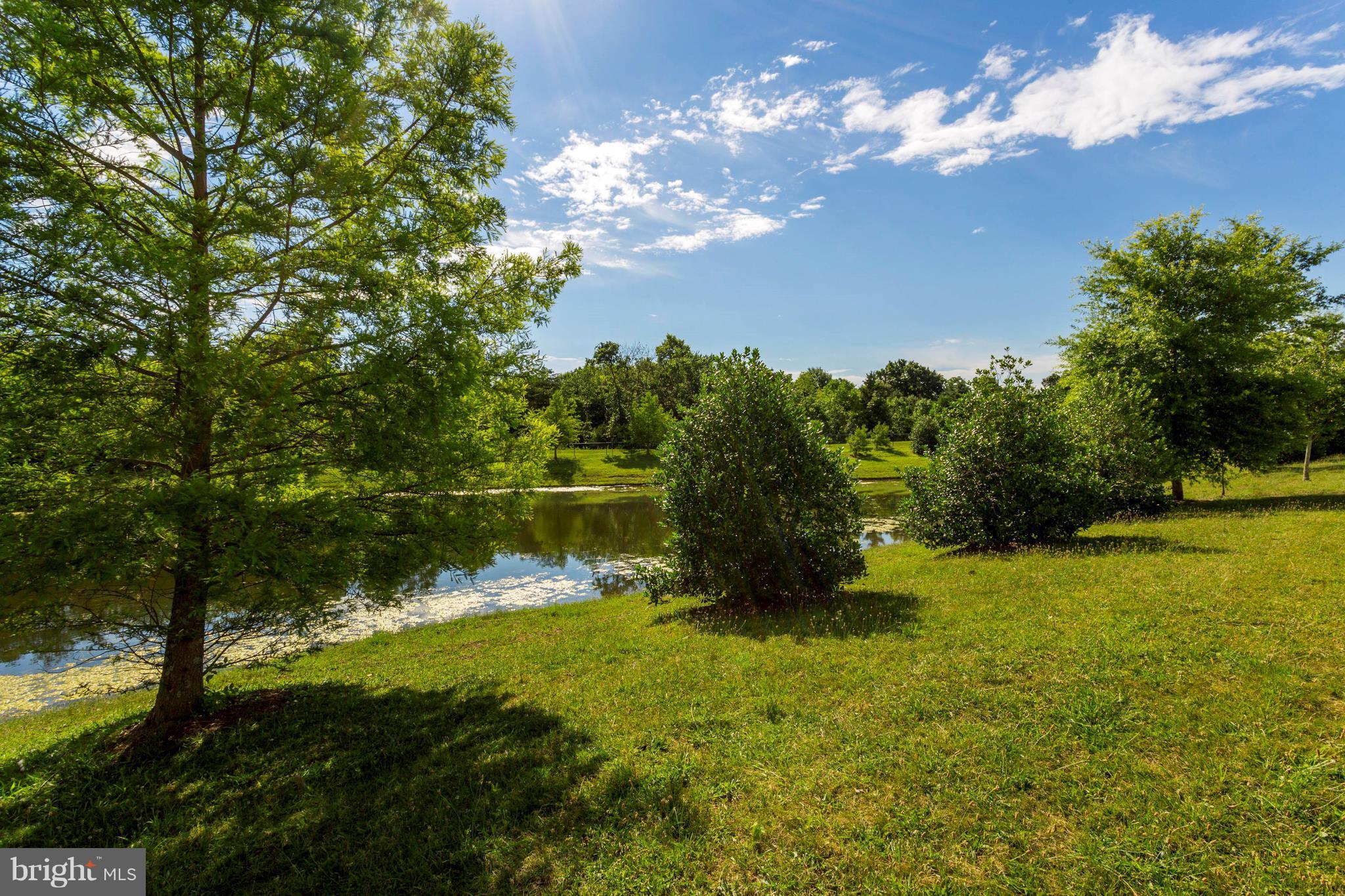 LANIER FARMS - Residential