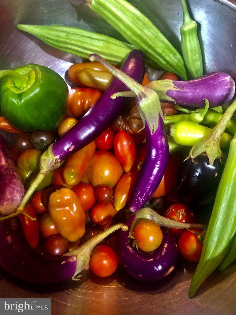 PT ROCKVILLE OUT RES. 3 - Residential