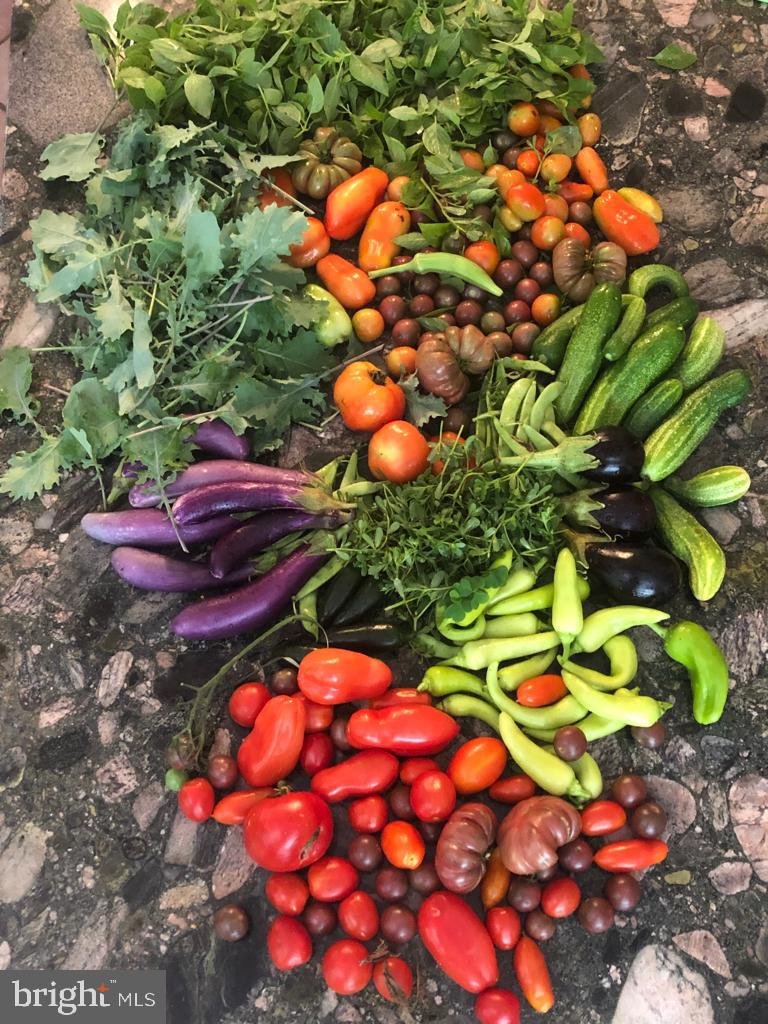 PT ROCKVILLE OUT RES. 3 - Residential