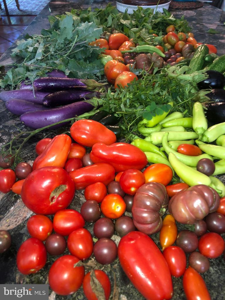 PT ROCKVILLE OUT RES. 3 - Residential