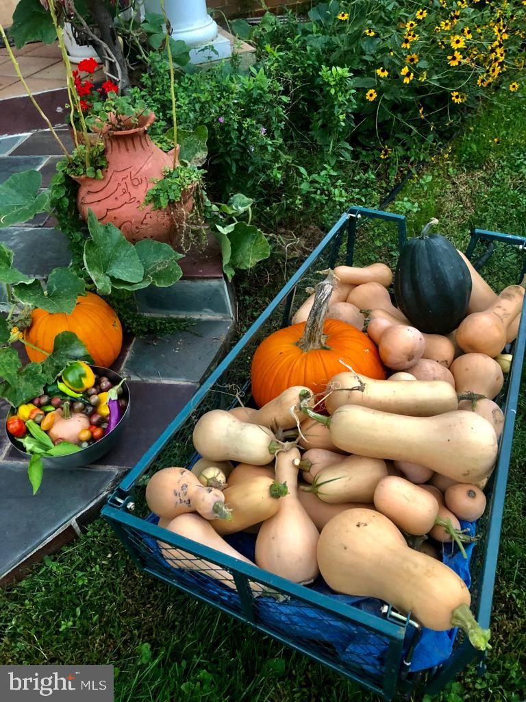 PT ROCKVILLE OUT RES. 3 - Residential