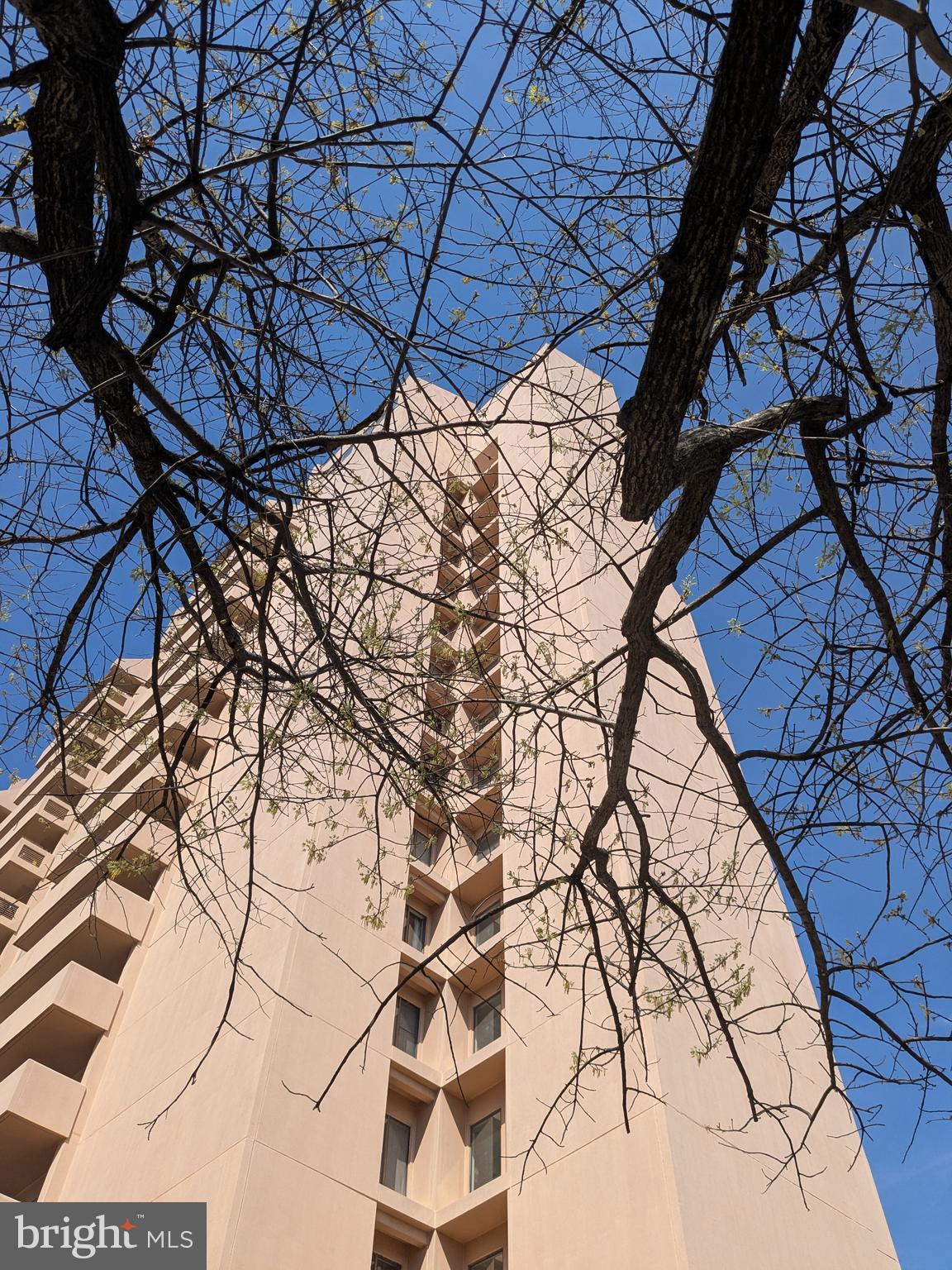 1301 N COURTHOUSE ROAD 1205