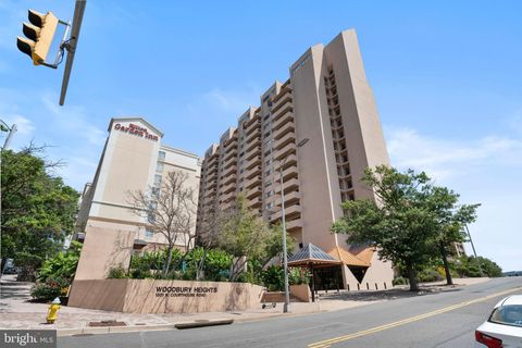 1301 N COURTHOUSE ROAD 1205 ARLINGTON VA 22201