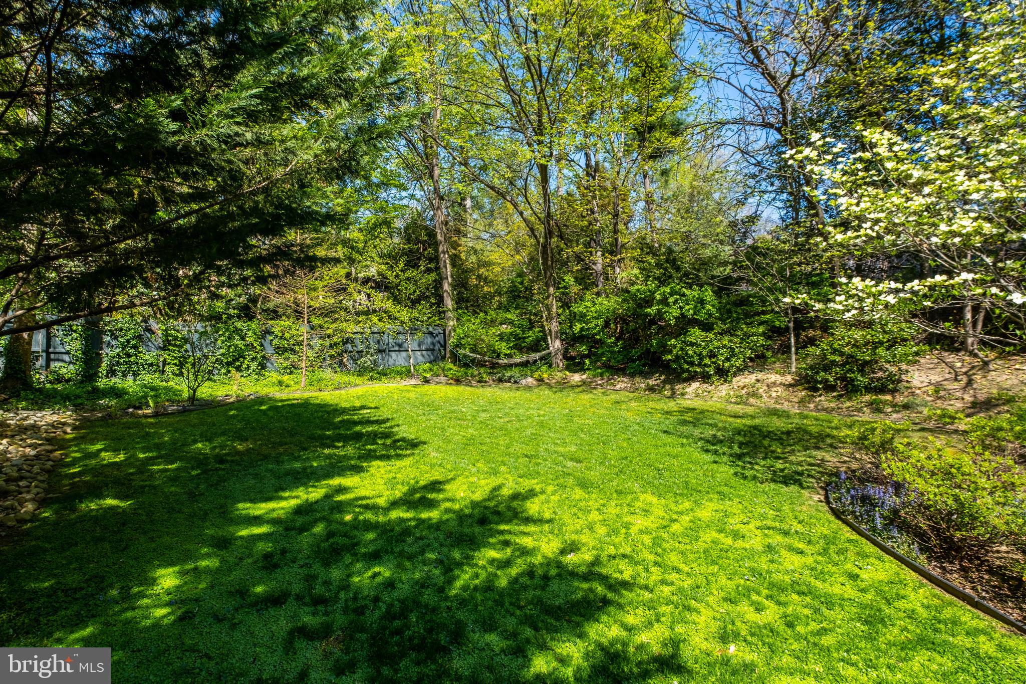 FOREST HILLS - Residential