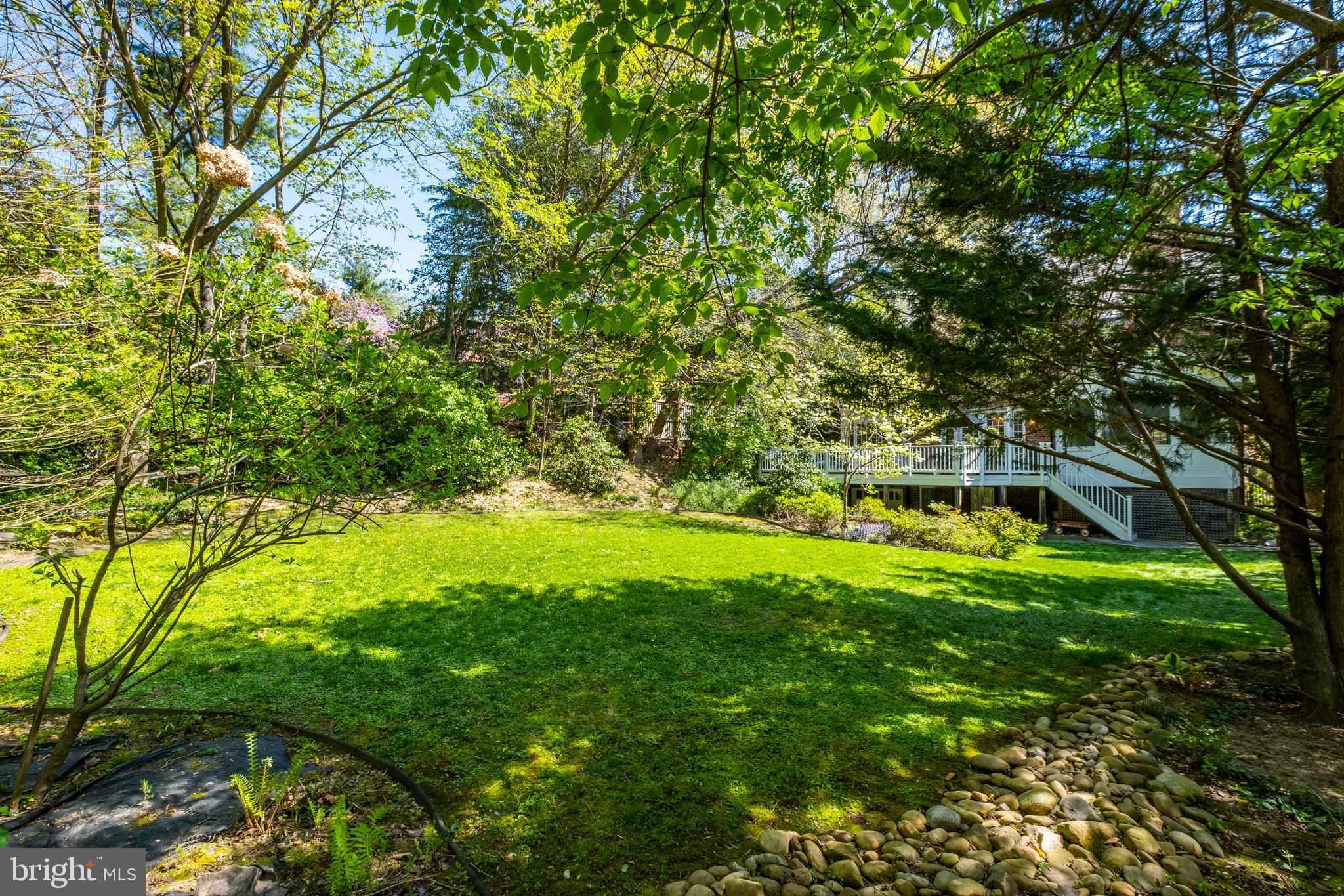 FOREST HILLS - Residential