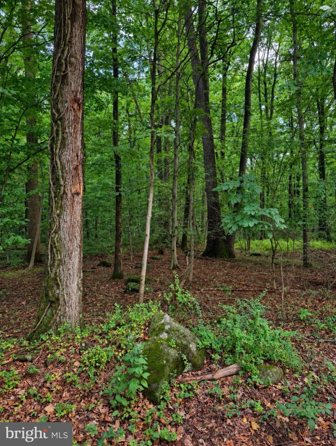 BOULDER ROAD
