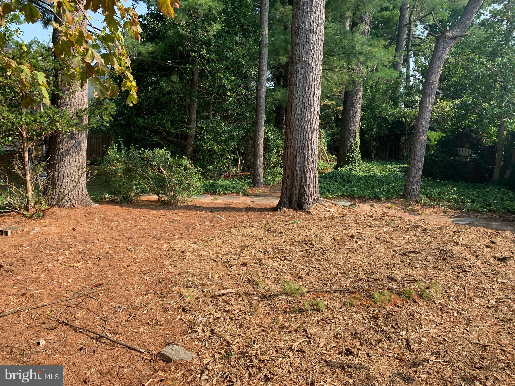 WHITEMARSH HILLS - Residential