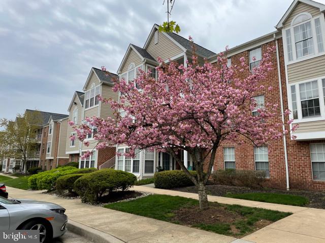 GREENSPRING EAST - Residential Lease