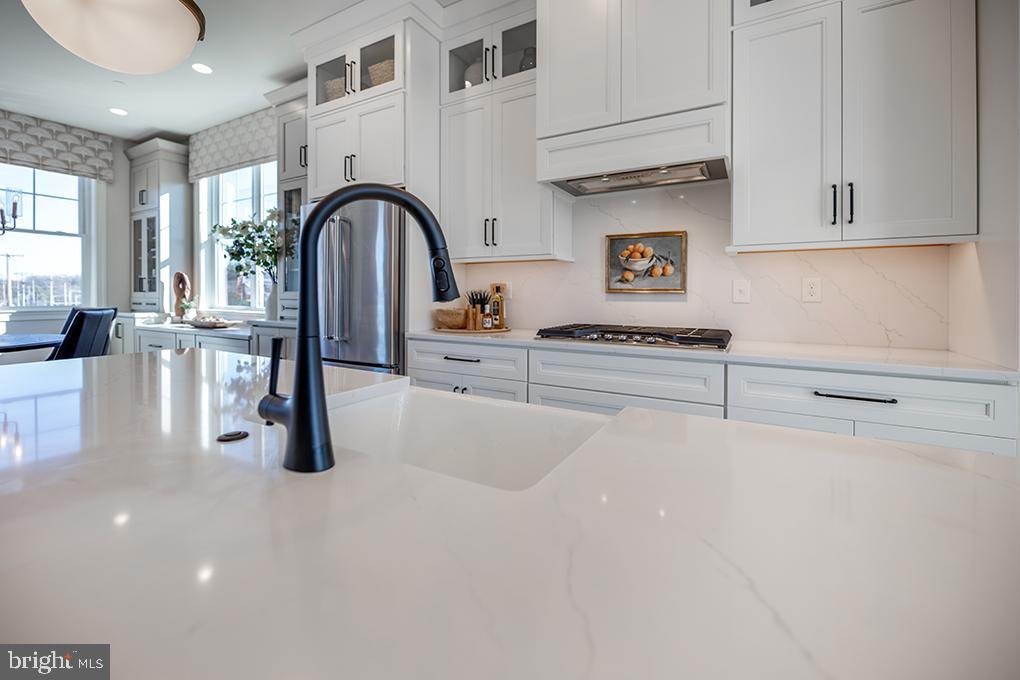 NEWTOWN WALK AT ELLIS PRESERVE - Residential