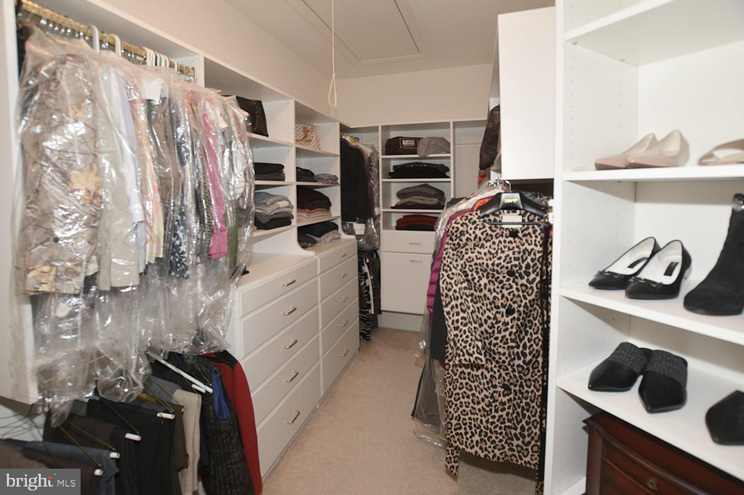 RUGBY ROAD - Residential Lease