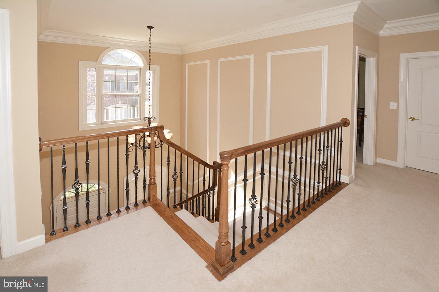 RUGBY ROAD - Residential Lease