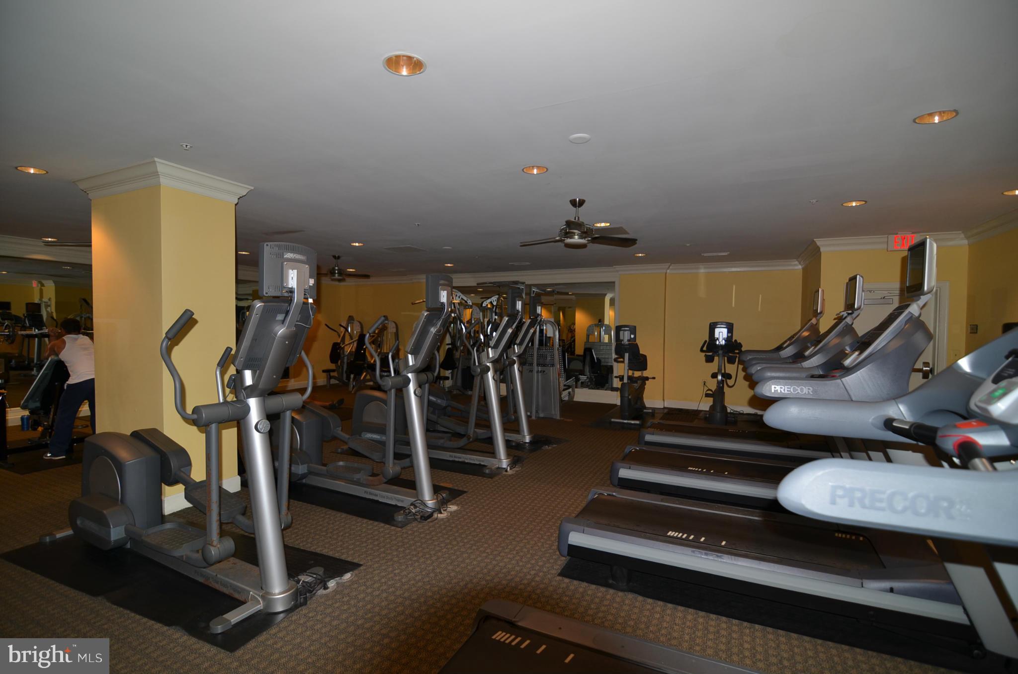 HALSTEAD AT THE METRO - Residential