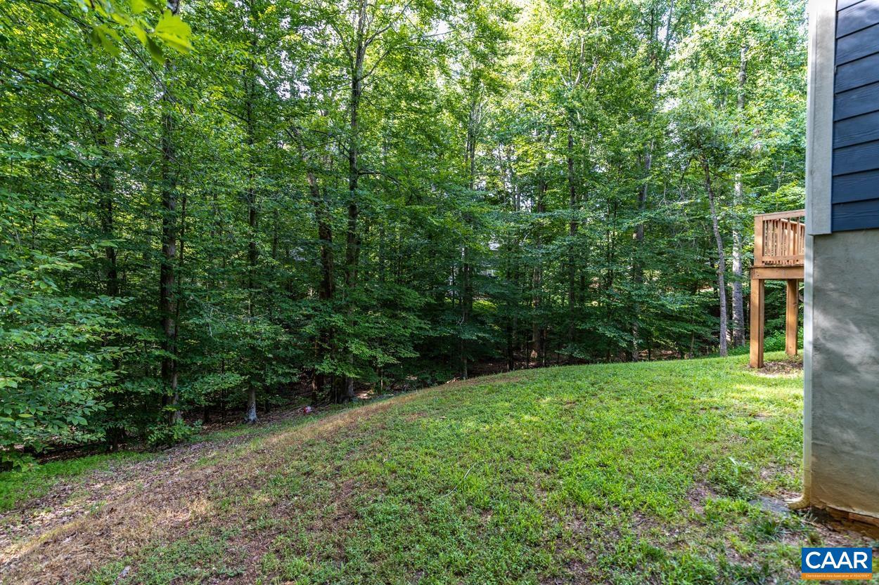 LAKE MONTICELLO - Residential