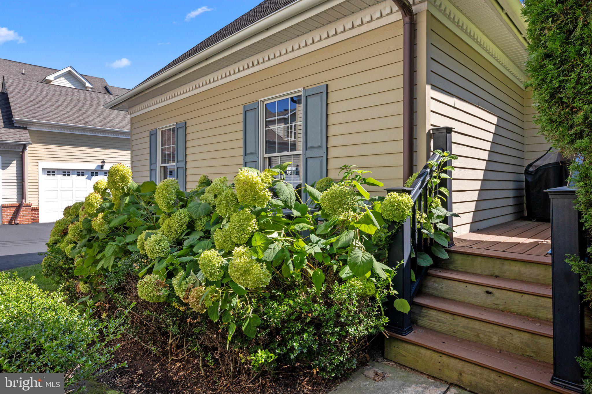 NEWTOWN WALK - Residential