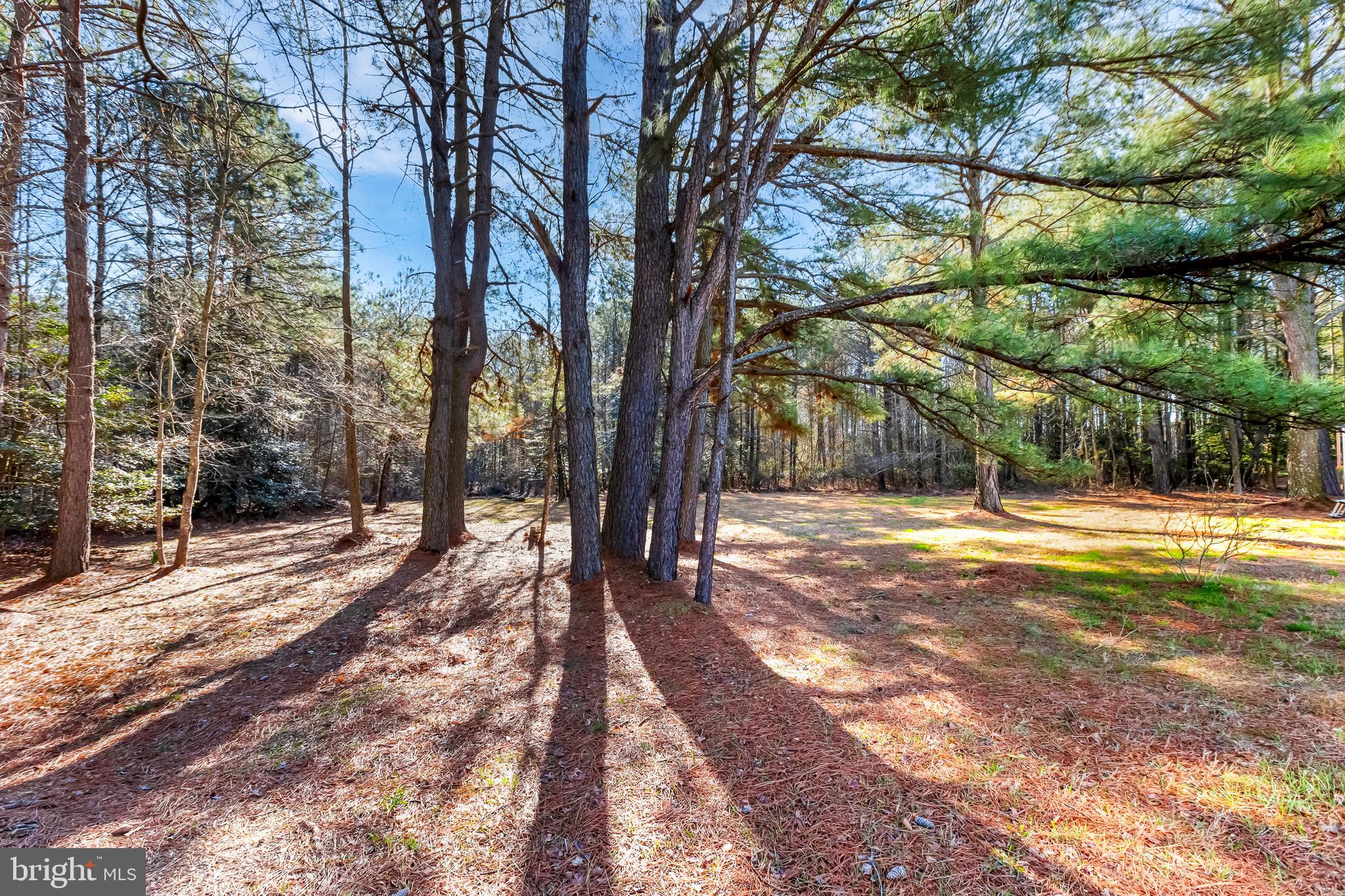 JENKINS ORCHARD - Residential