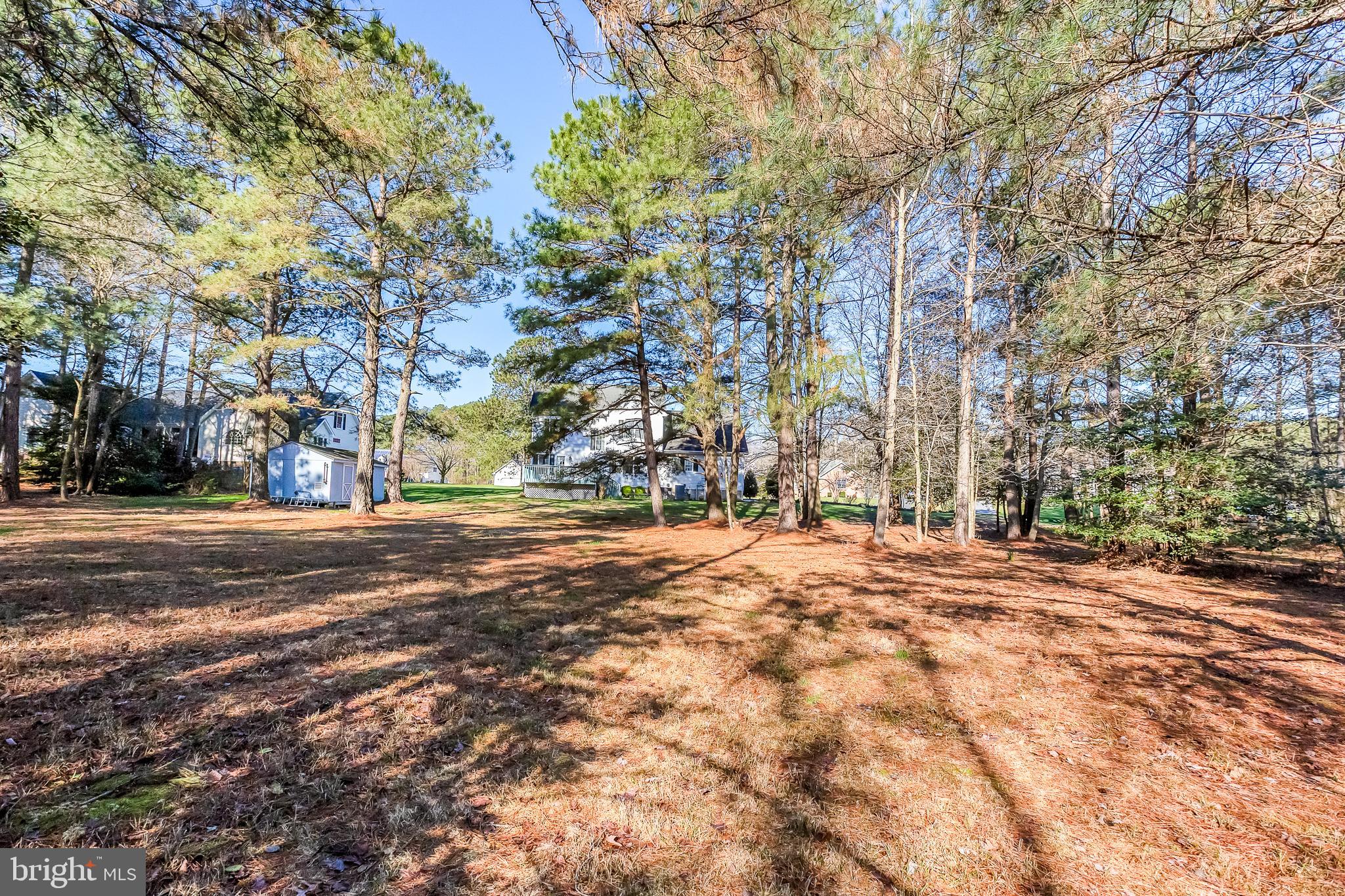 JENKINS ORCHARD - Residential