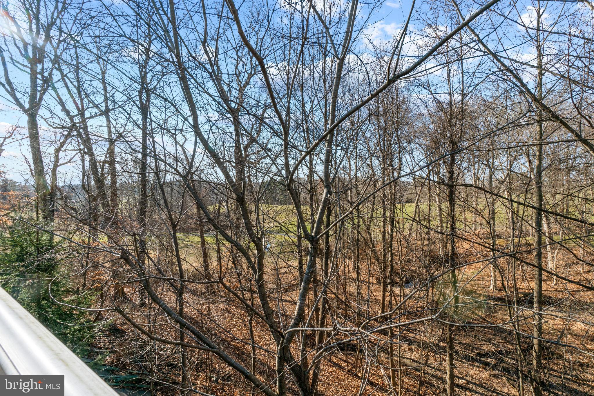 VILLAGE OF SCOTS FANCY - Residential