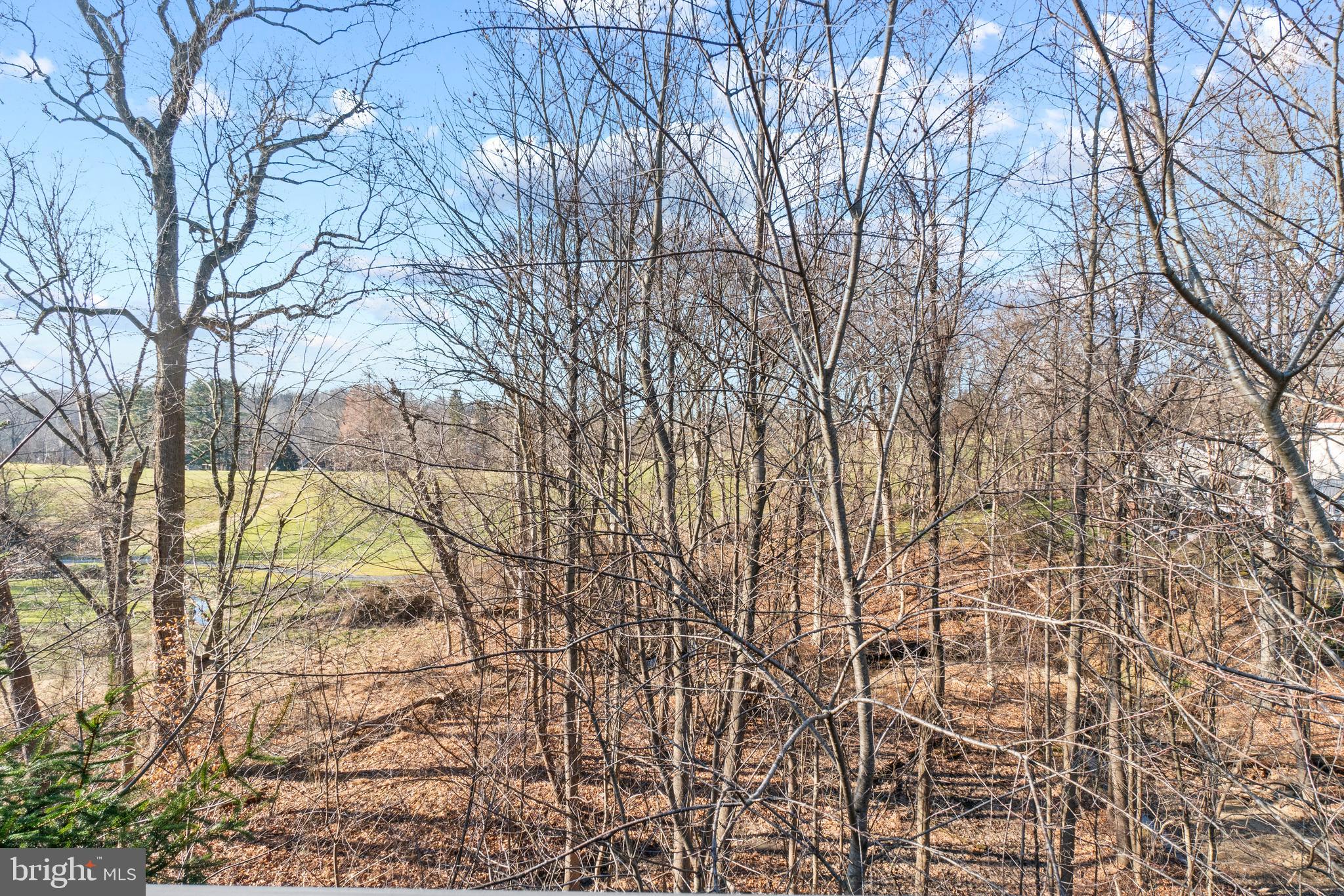 VILLAGE OF SCOTS FANCY - Residential