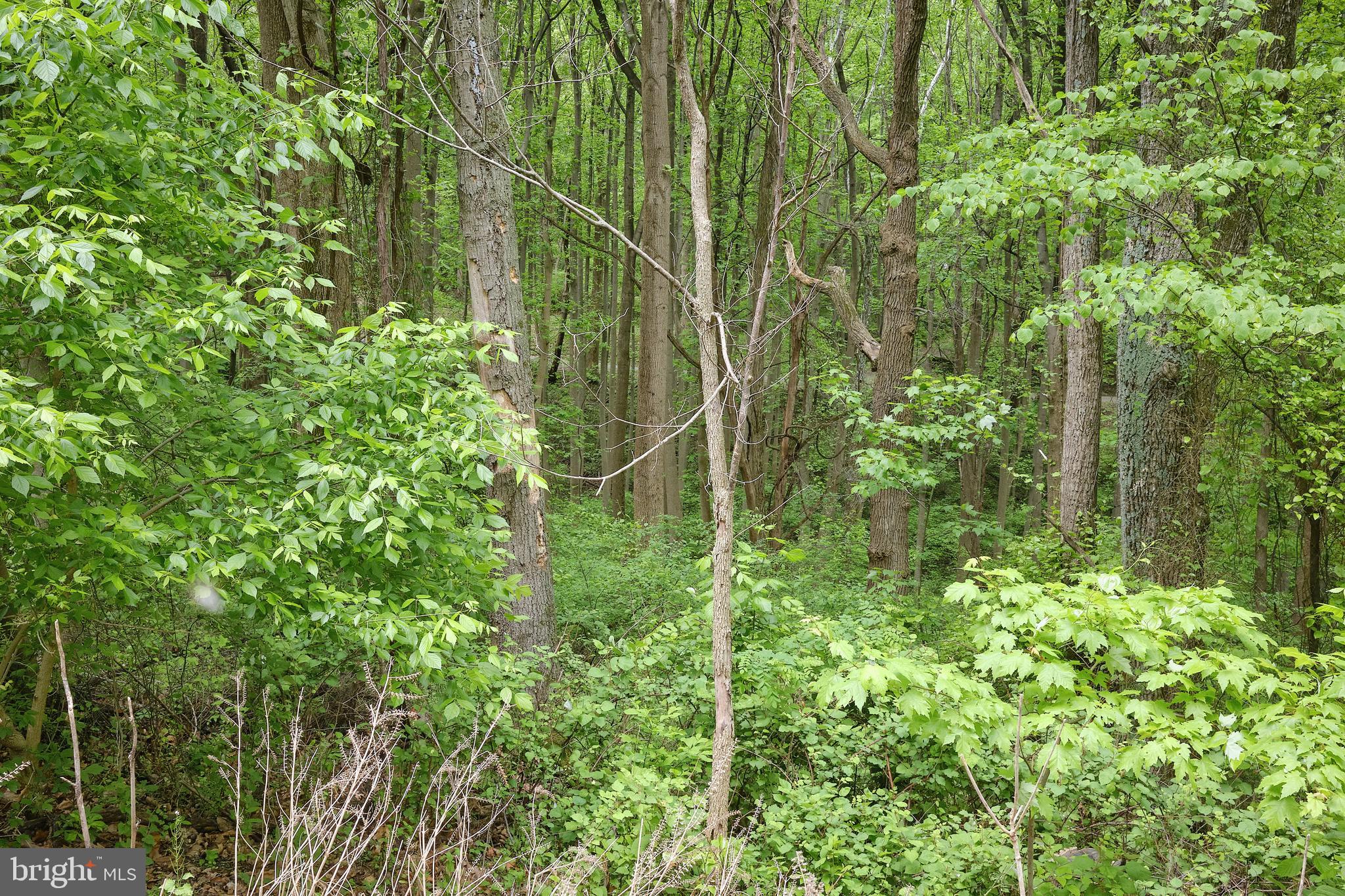 SHENANDOAH HIGHLANDS - Land