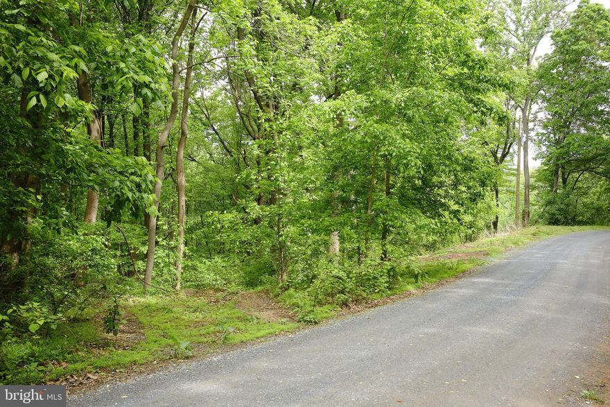 Priced to sell! This wooded lot, with easy access, is located in the Blue Ridge Mountains just outside of Stanley, Virginia.  This property is ready for you to build your dream home or cabin on today. The long frontage on a well maintained gravel road adds to the convenience of this property.  Short term rentals are allowed.  Mature trees provide shade and attract a variety of wildlife.  A short drive will take you to the Shenandoah National Park and Shenandoah River.  Do not miss out on this rare opportunity!