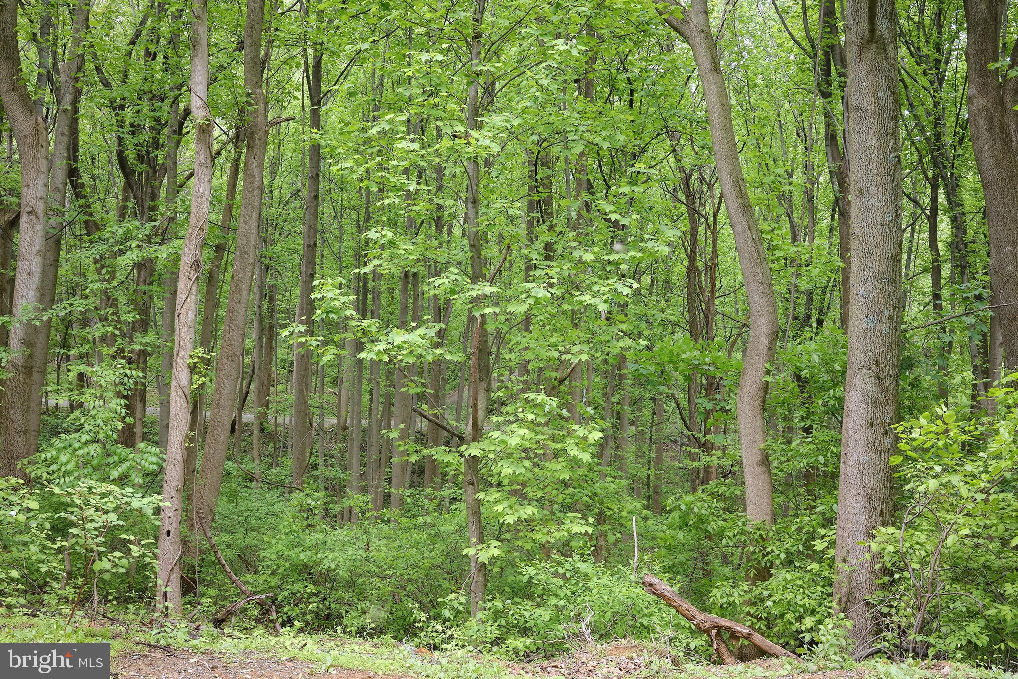 SHENANDOAH HIGHLANDS - Land