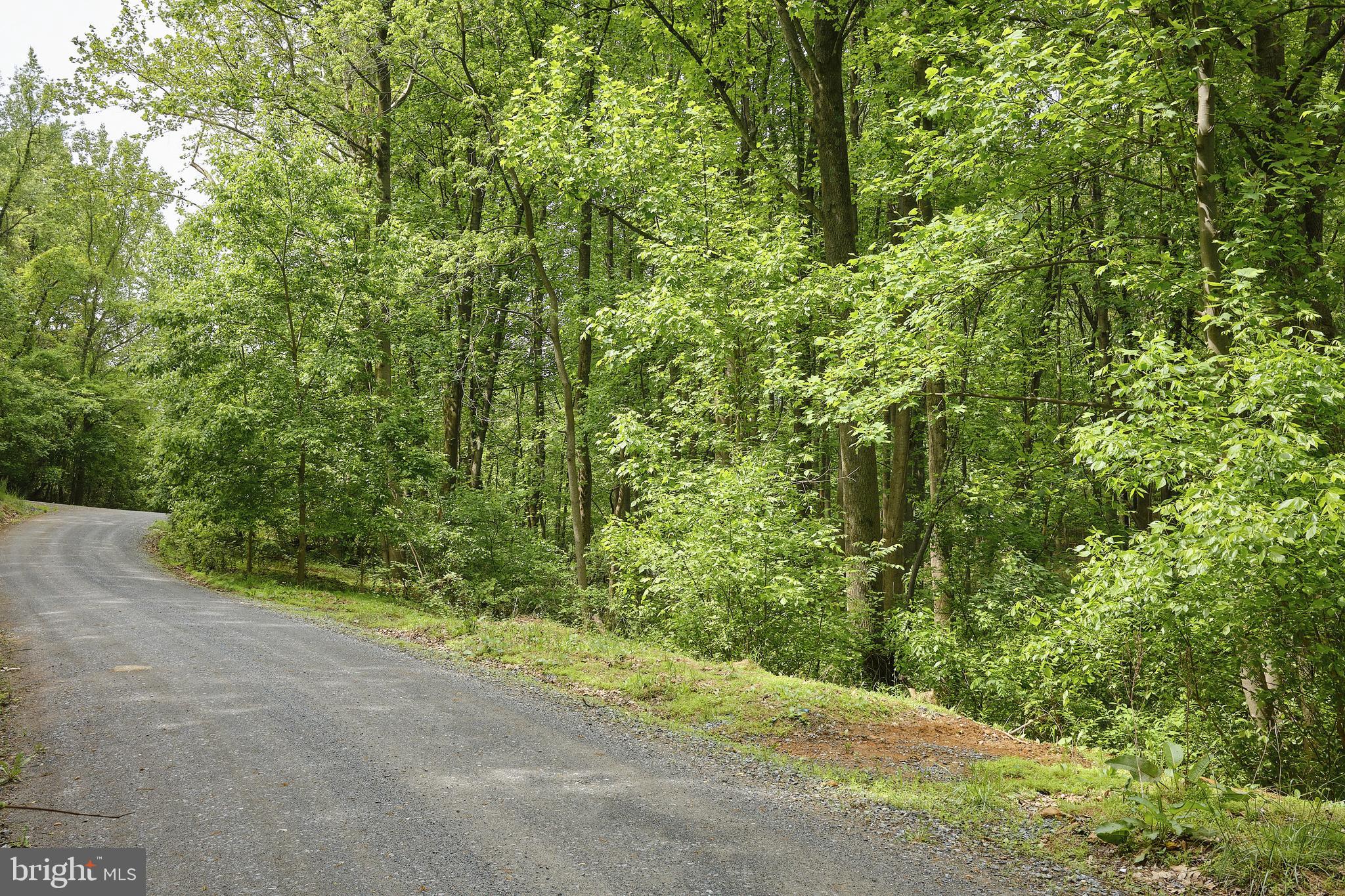 SHENANDOAH HIGHLANDS - Land