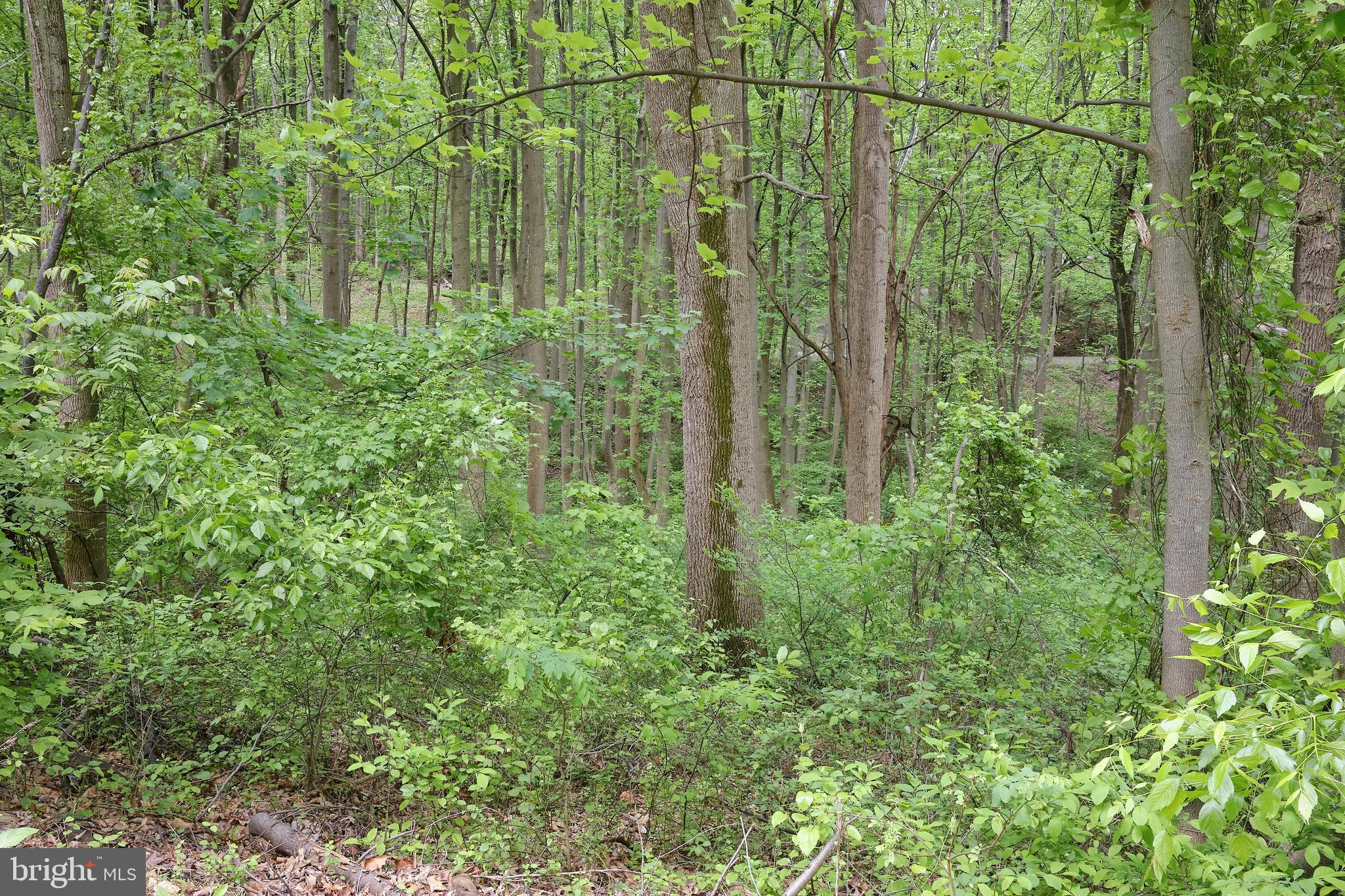 SHENANDOAH HIGHLANDS - Land