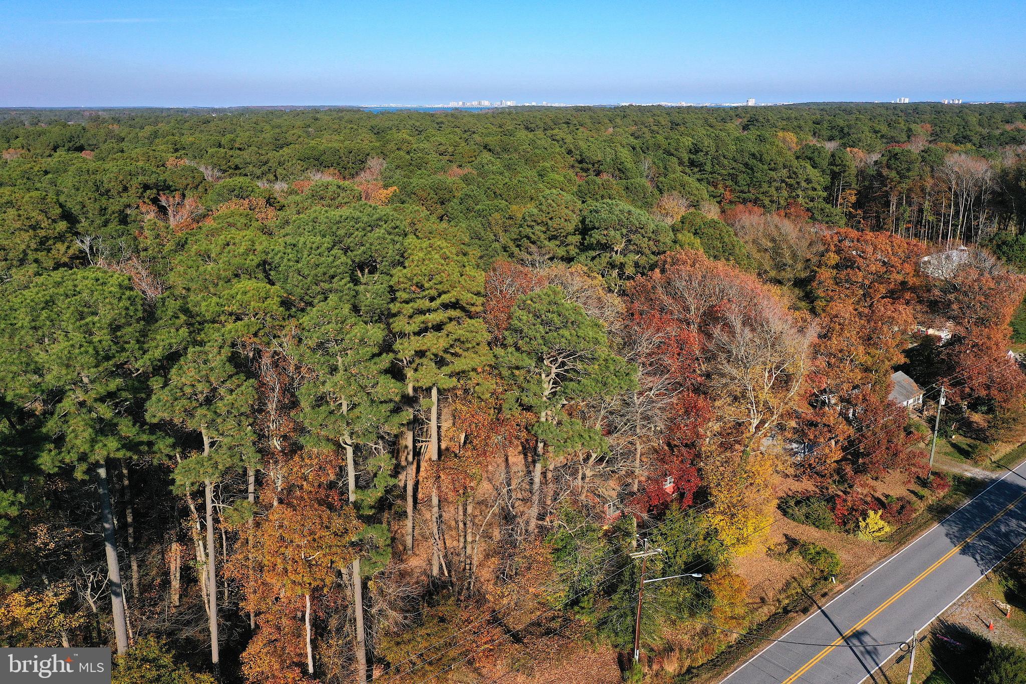 WINCHESTER DEVELOPMENT - Residential