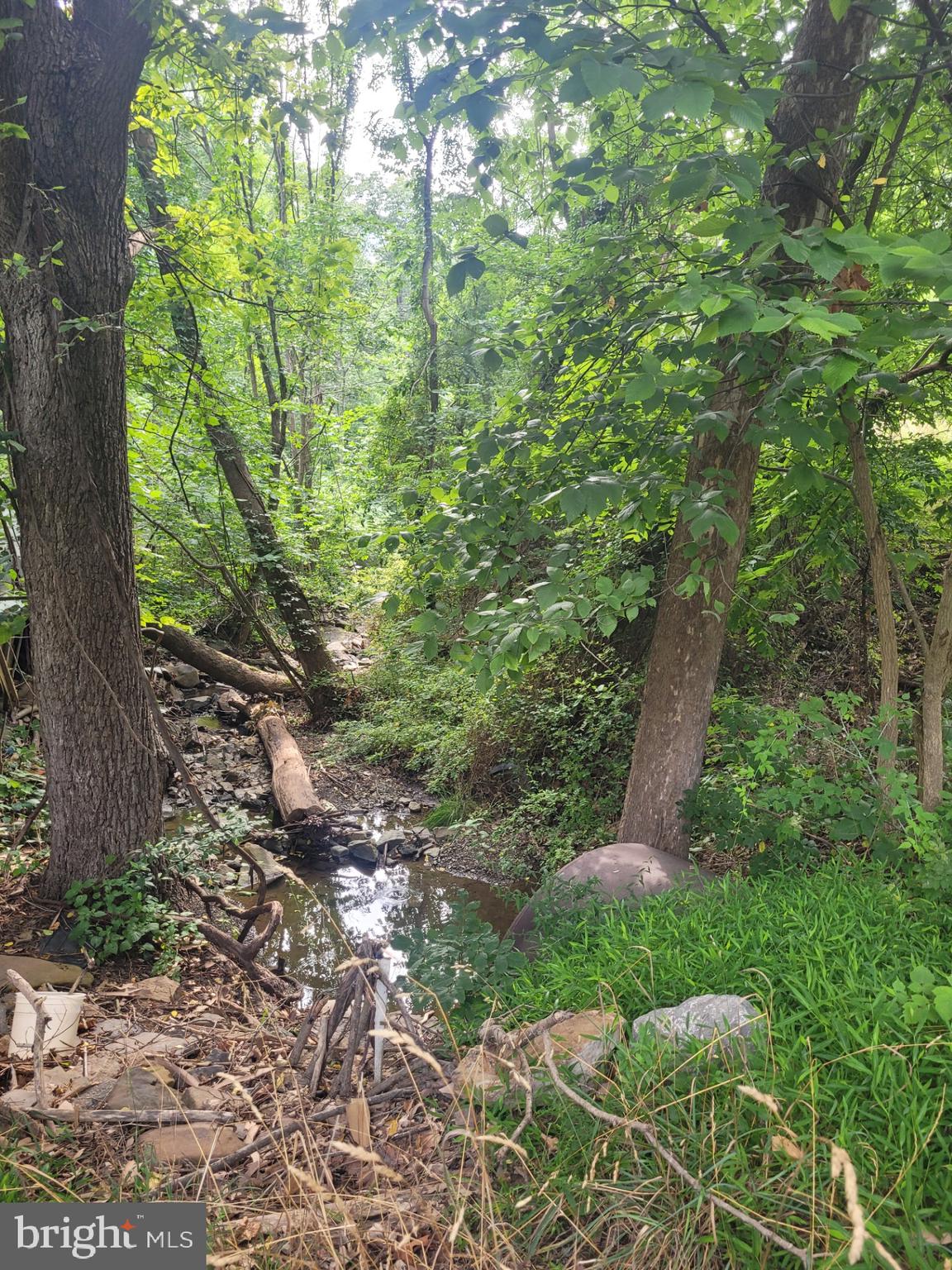 NONE UNRESTRICTED - Land