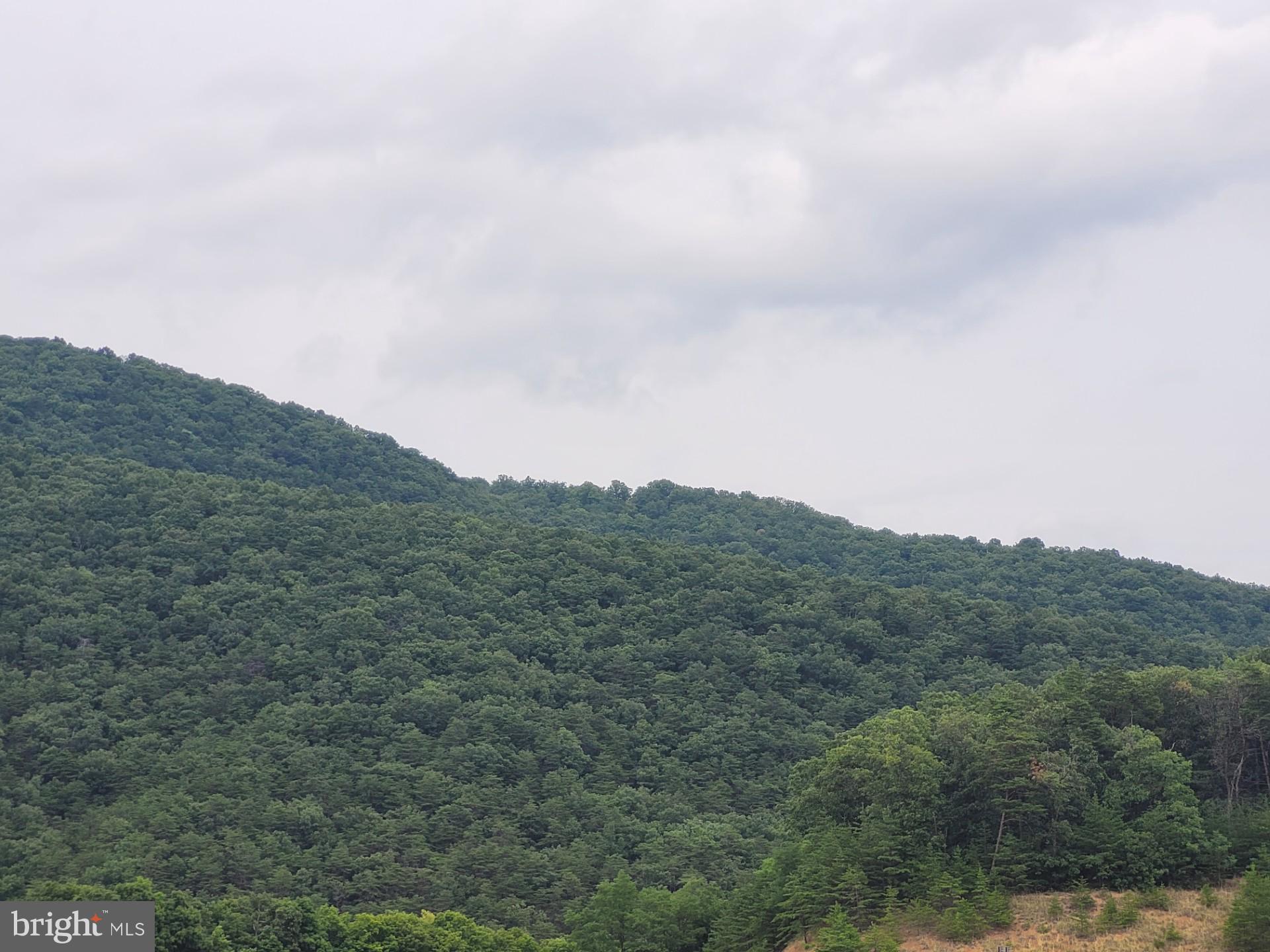 NONE UNRESTRICTED - Land