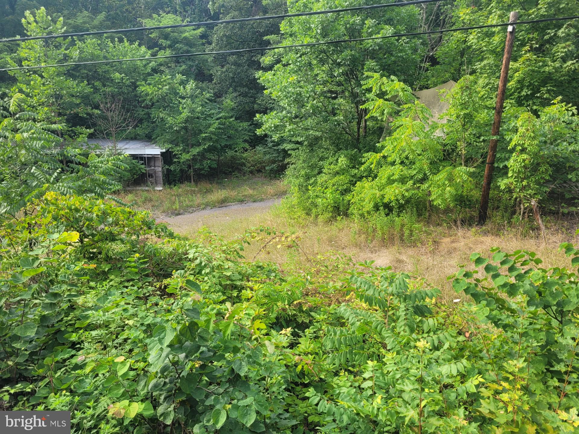 NONE UNRESTRICTED - Land